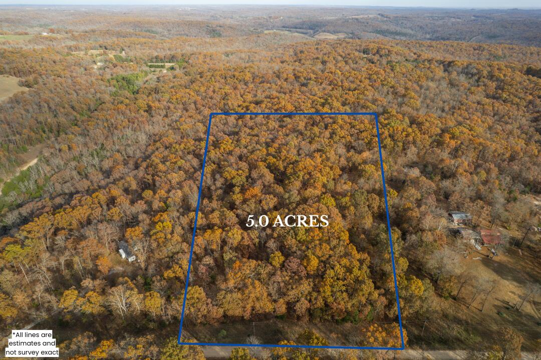 Photo 4 - Land for sale – Lot 28  County Road 555 C   Tecumseh, MO