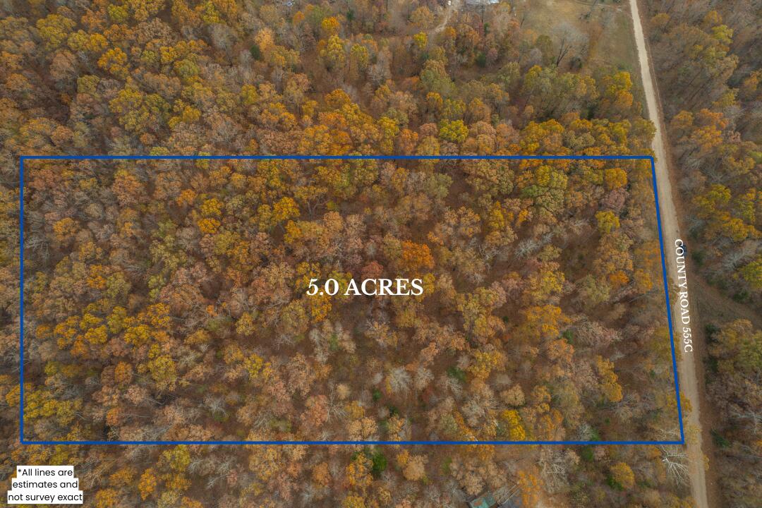 Photo 3 - Land for sale – Lot 28  County Road 555 C   Tecumseh, MO