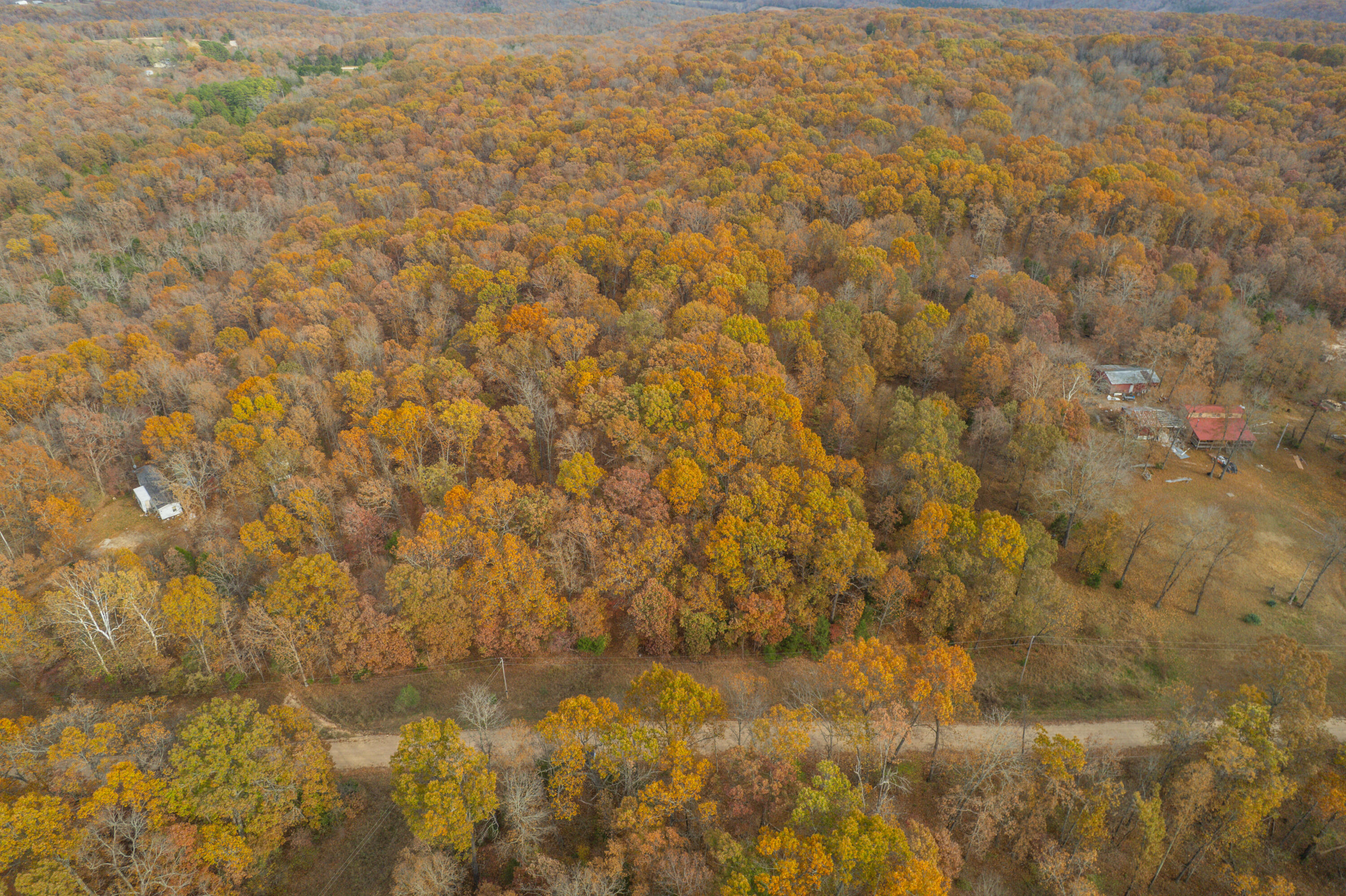 Photo 5 - Land for sale – Lot 28  County Road 555 C   Tecumseh, MO