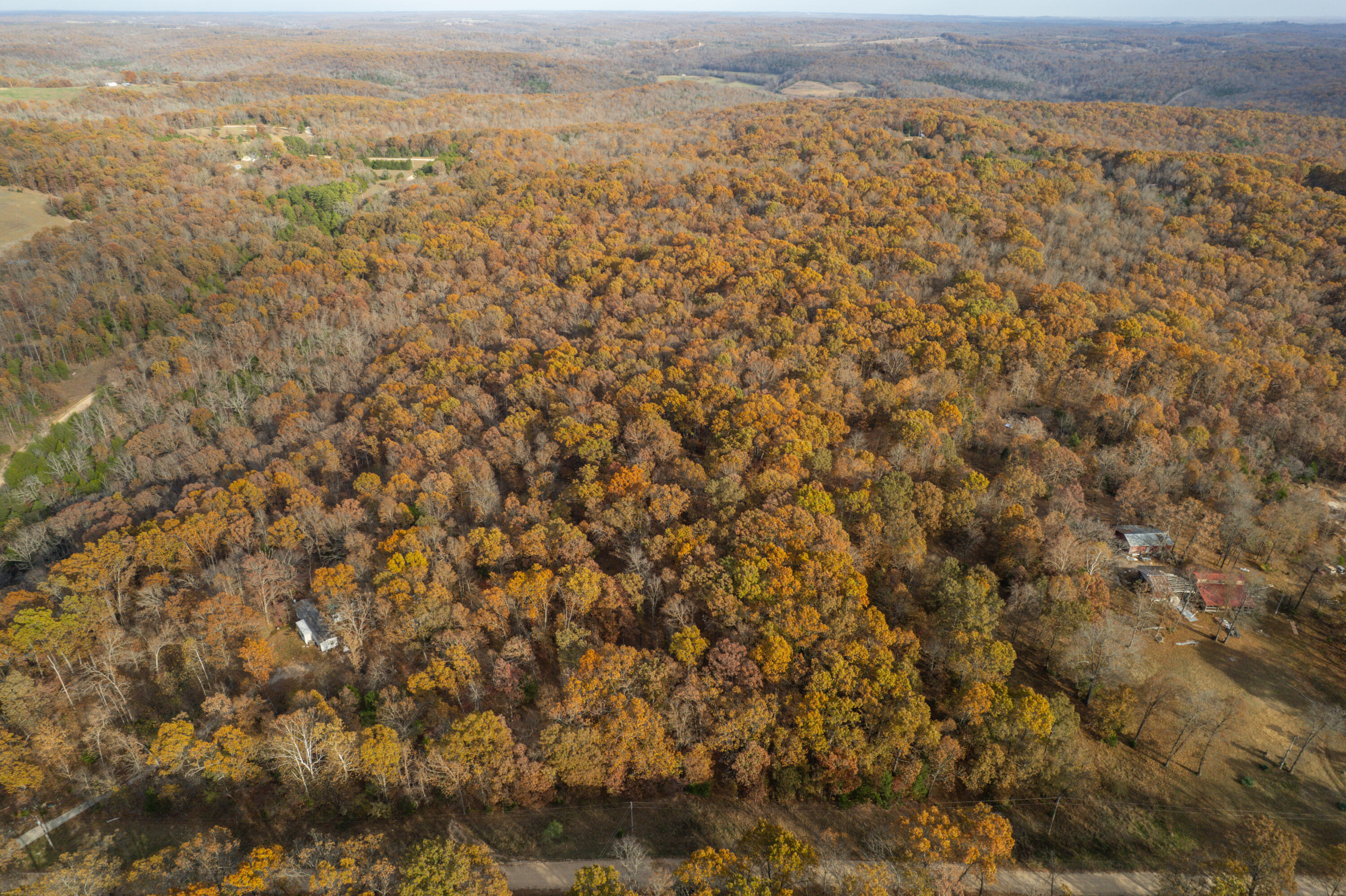 Photo 12 - Land for sale – Lot 28  County Road 555 C   Tecumseh, MO