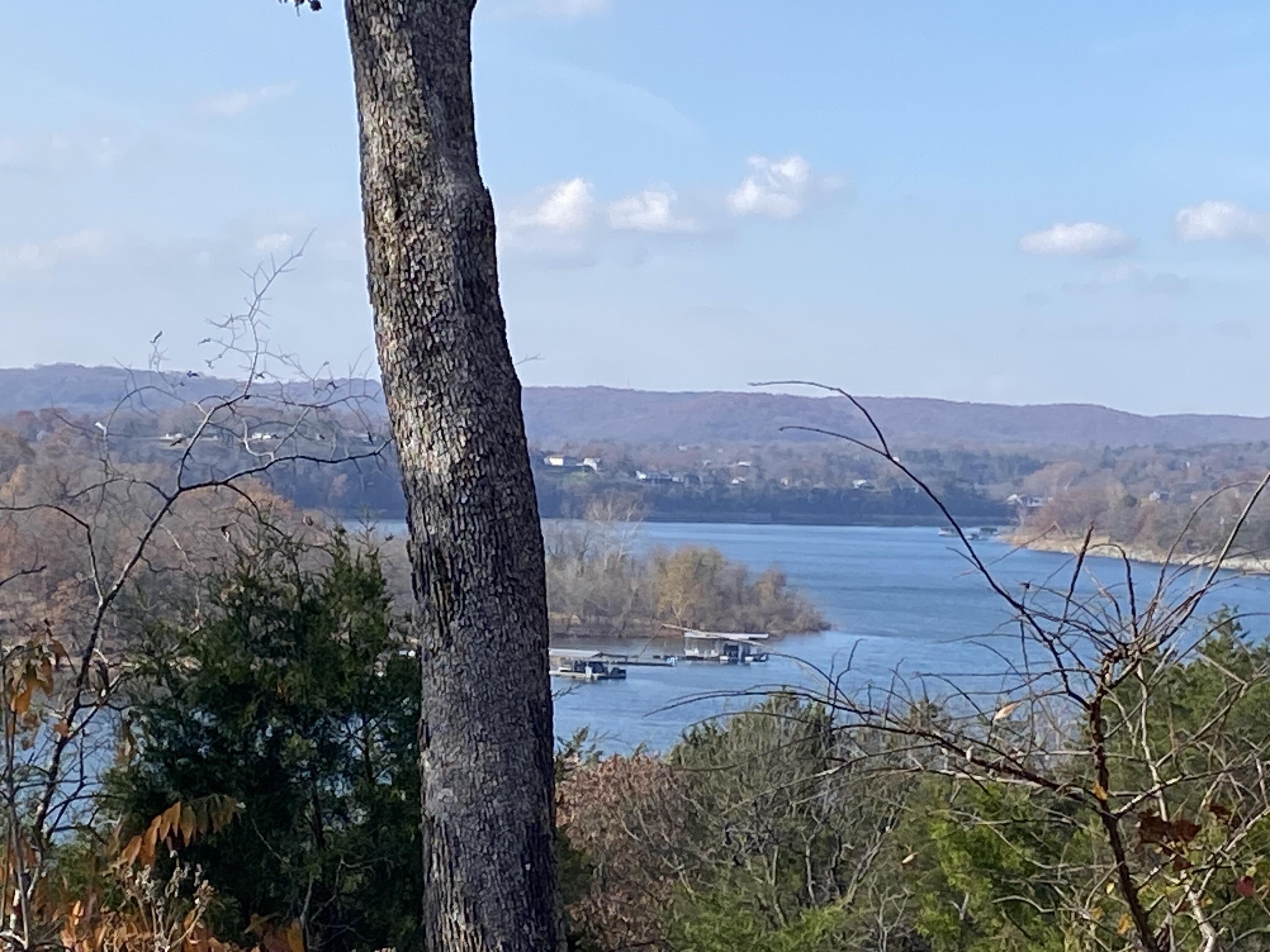 Photo 4 - Land for sale – 000  Seagull Lane   Cape Fair, MO