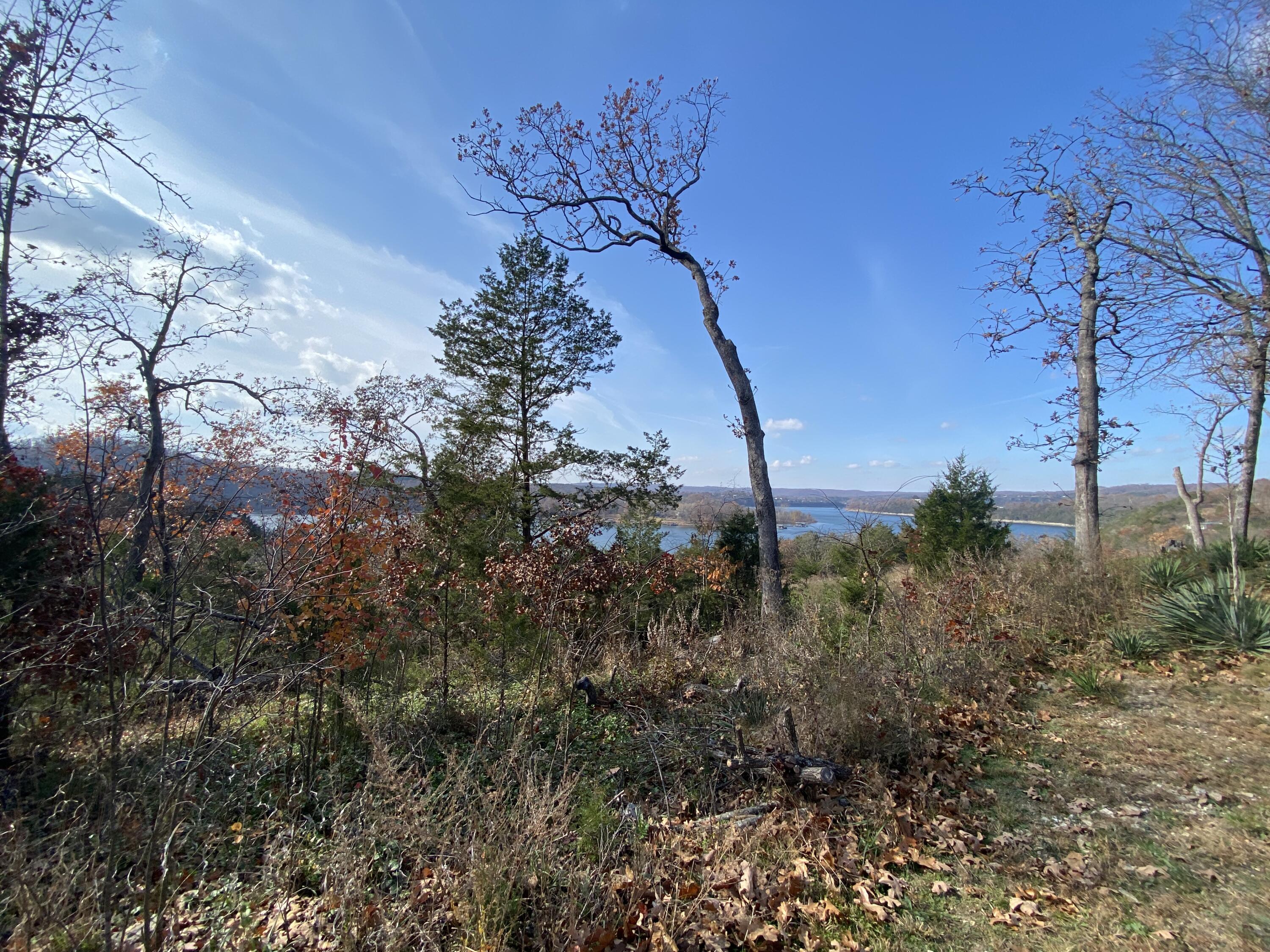 Photo 5 - Land for sale – 000  Seagull Lane   Cape Fair, MO