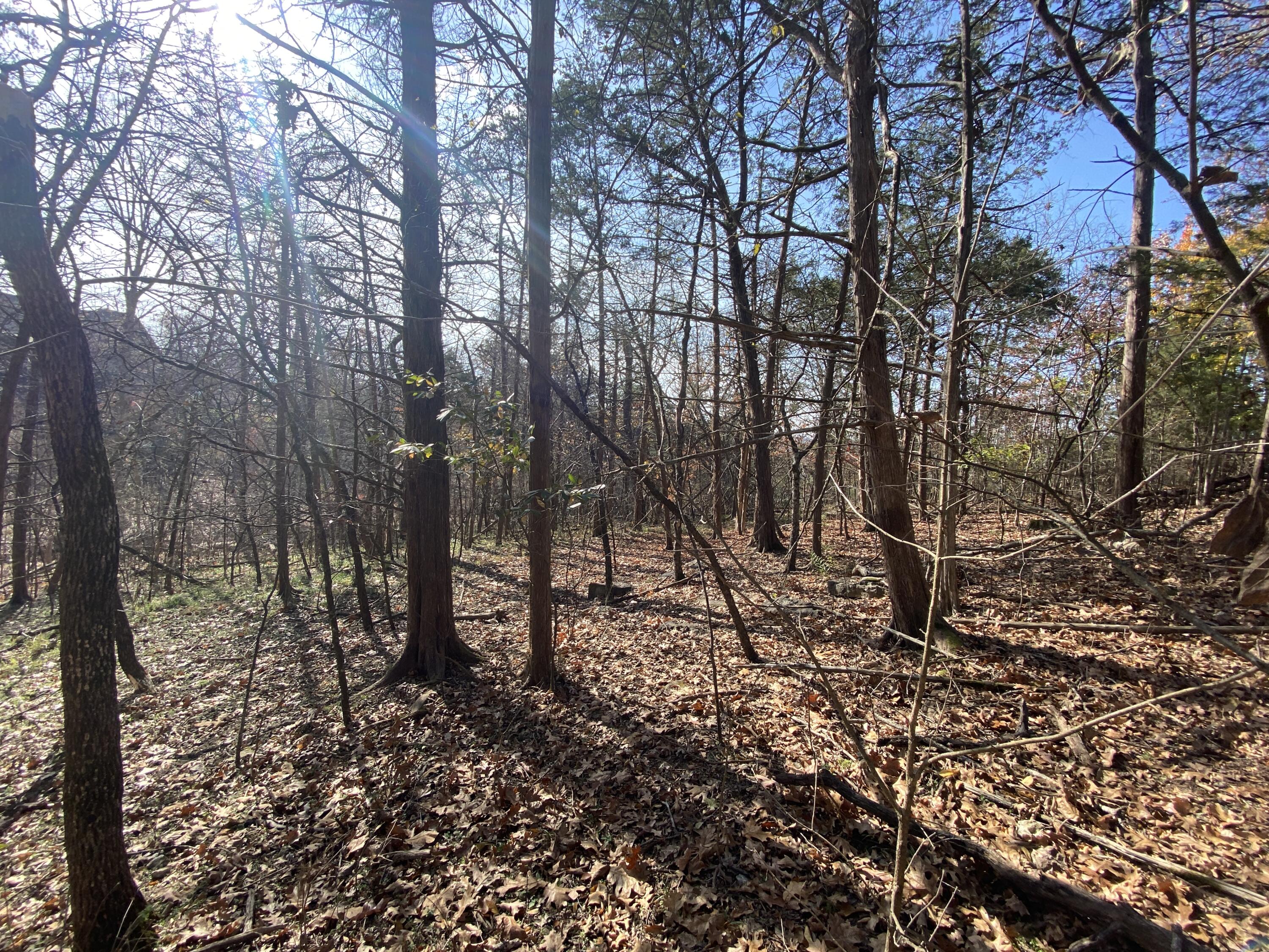 Land for sale – 000  Seagull Lane   Cape Fair, MO
