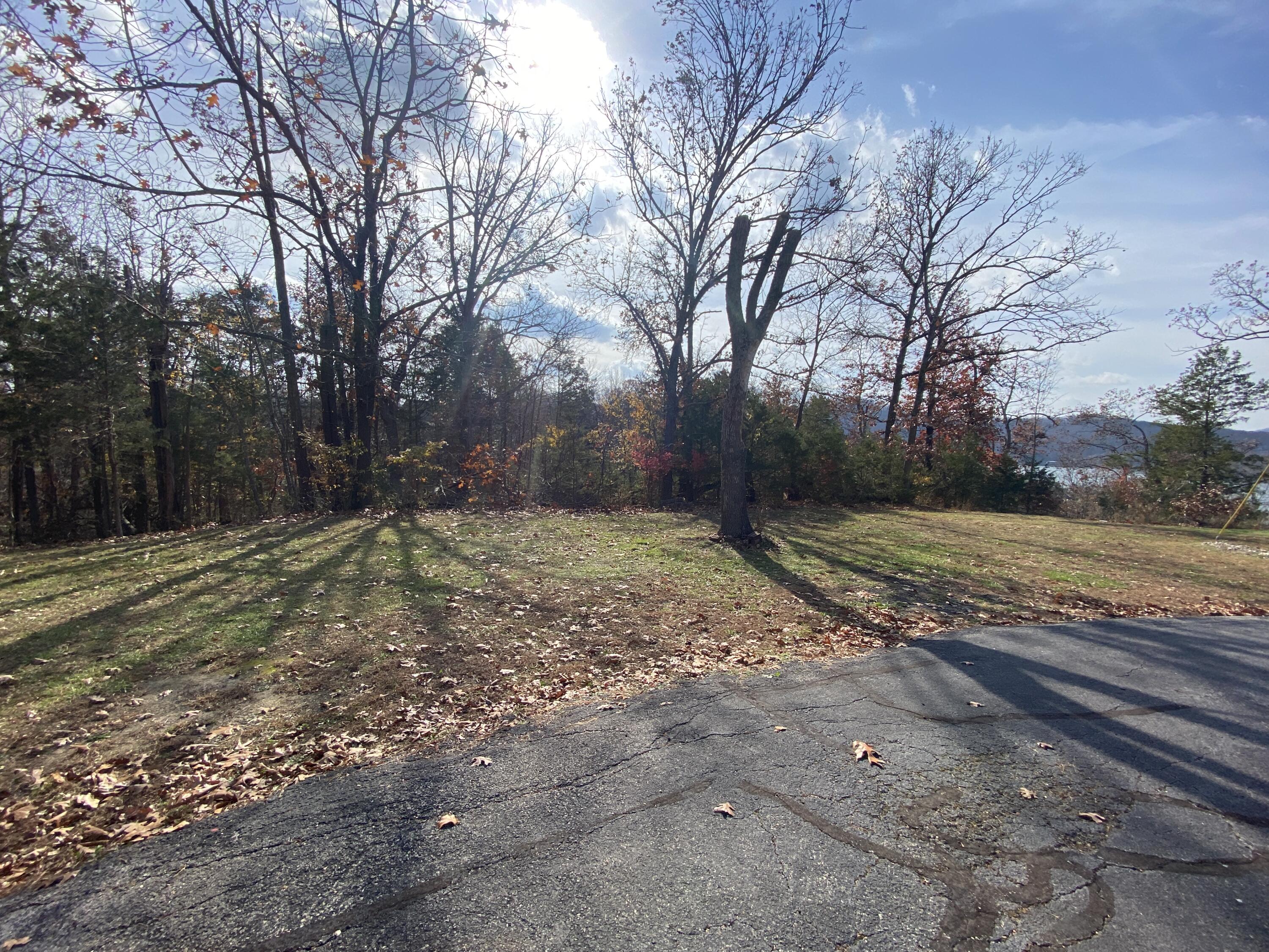 Photo 2 - Land for sale – 000  Seagull Lane   Cape Fair, MO