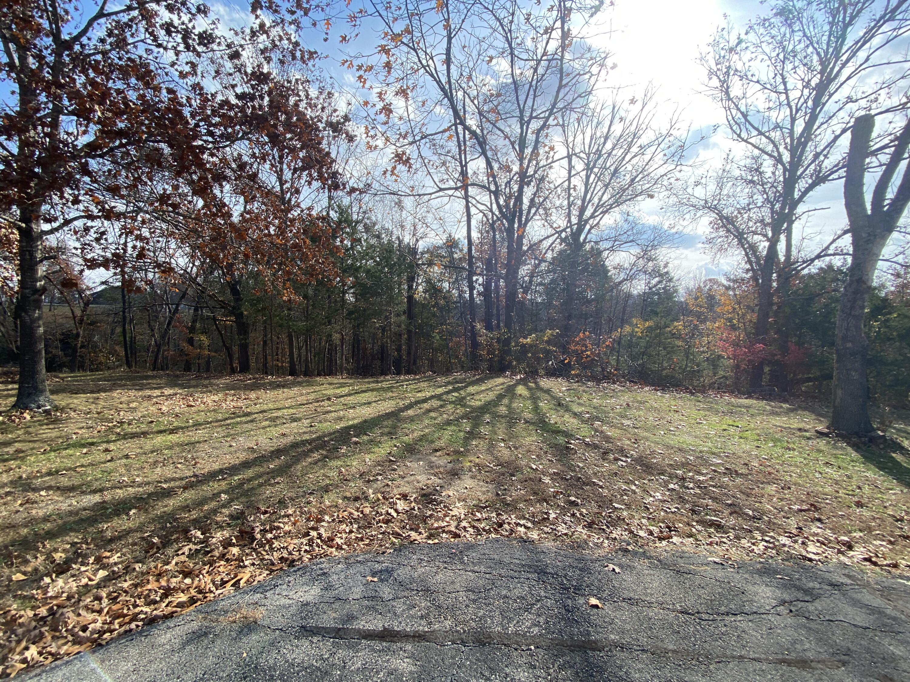 Photo 3 - Land for sale – 000  Seagull Lane   Cape Fair, MO