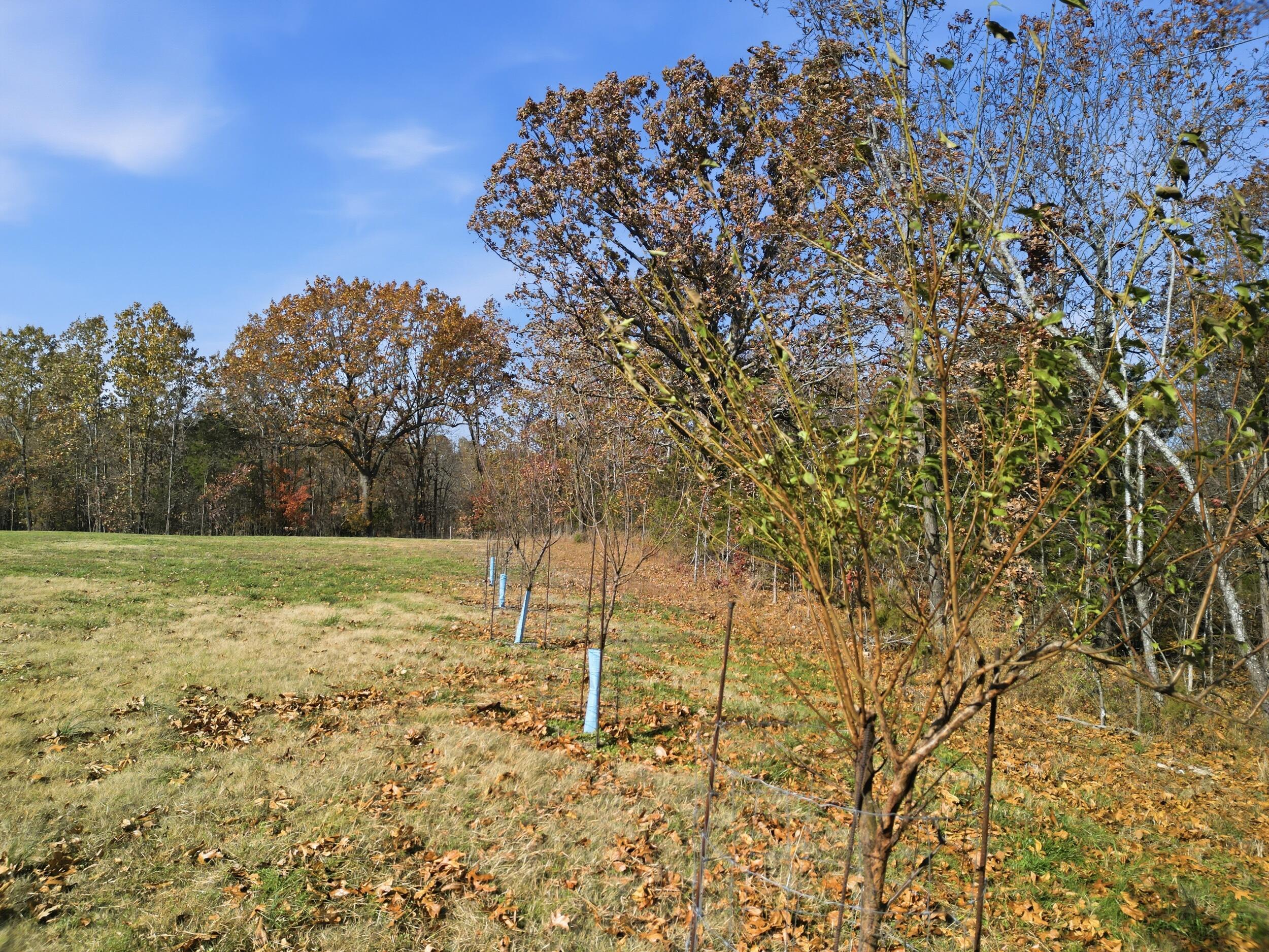 Photo 21 - Land for sale – 170  Ee Highway  Thayer, MO