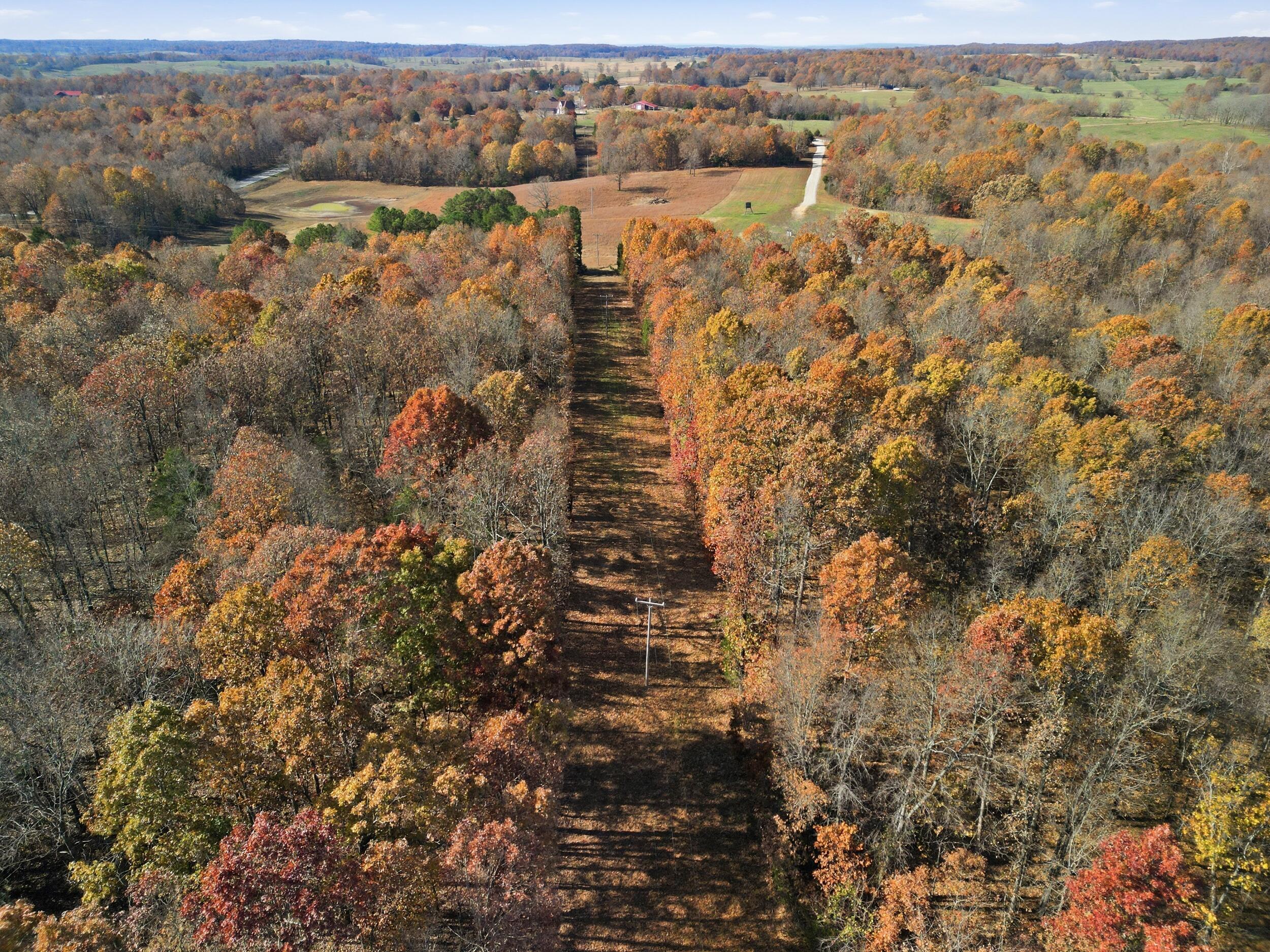 Photo 25 - Land for sale – 170  Ee Highway  Thayer, MO