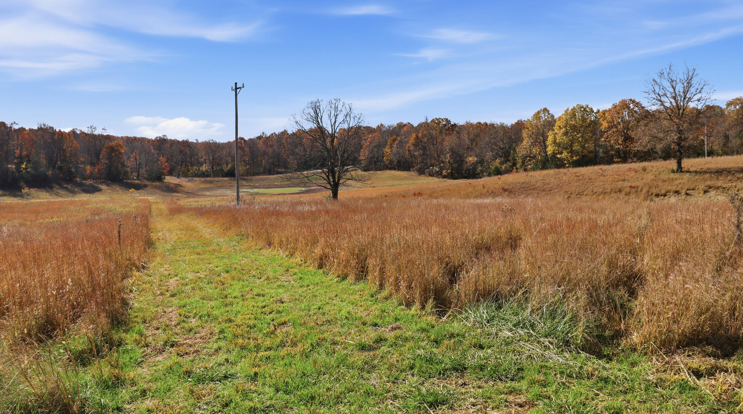 Photo 19 - Land for sale – 170  Ee Highway  Thayer, MO