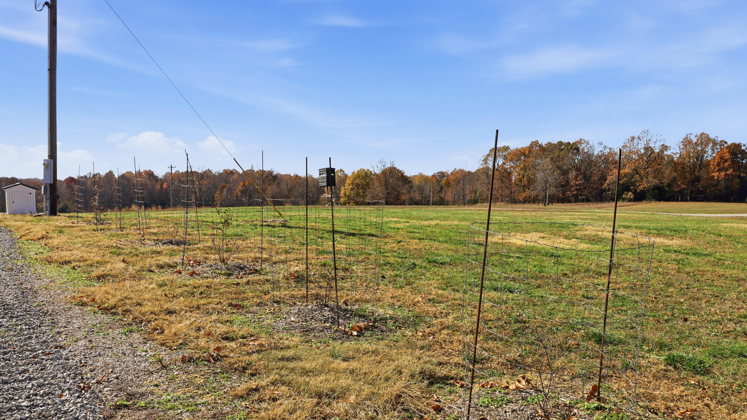 Photo 20 - Land for sale – 170  Ee Highway  Thayer, MO
