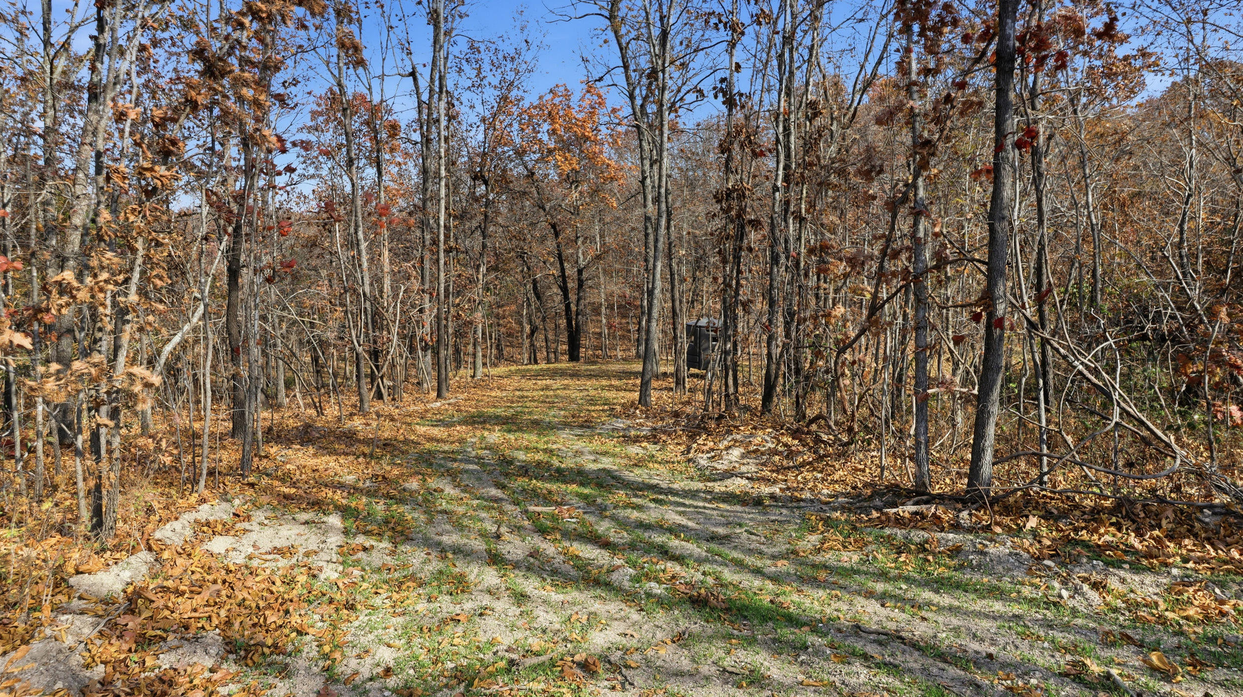 Photo 23 - Land for sale – 170  Ee Highway  Thayer, MO