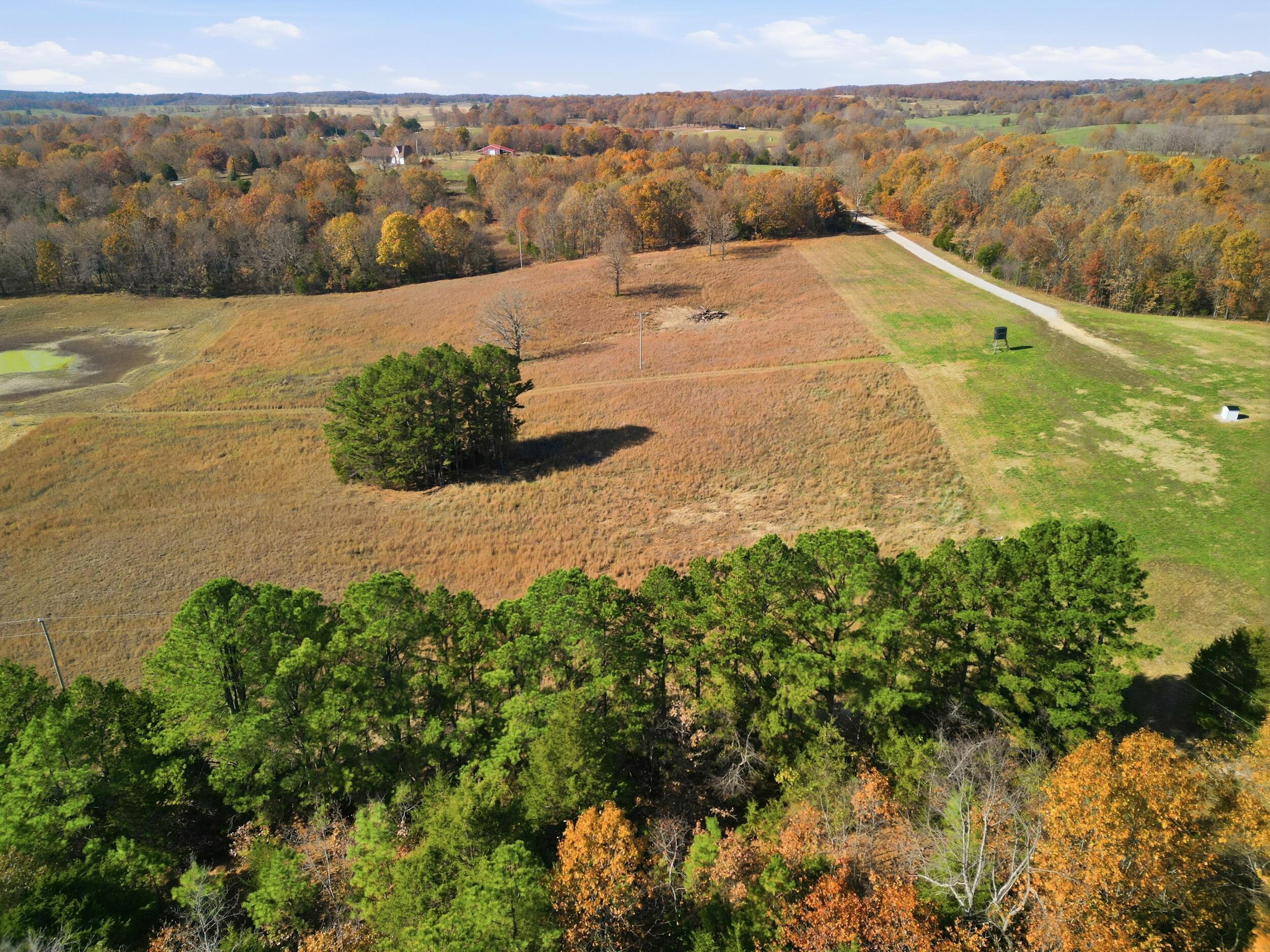 Photo 16 - Land for sale – 170  Ee Highway  Thayer, MO