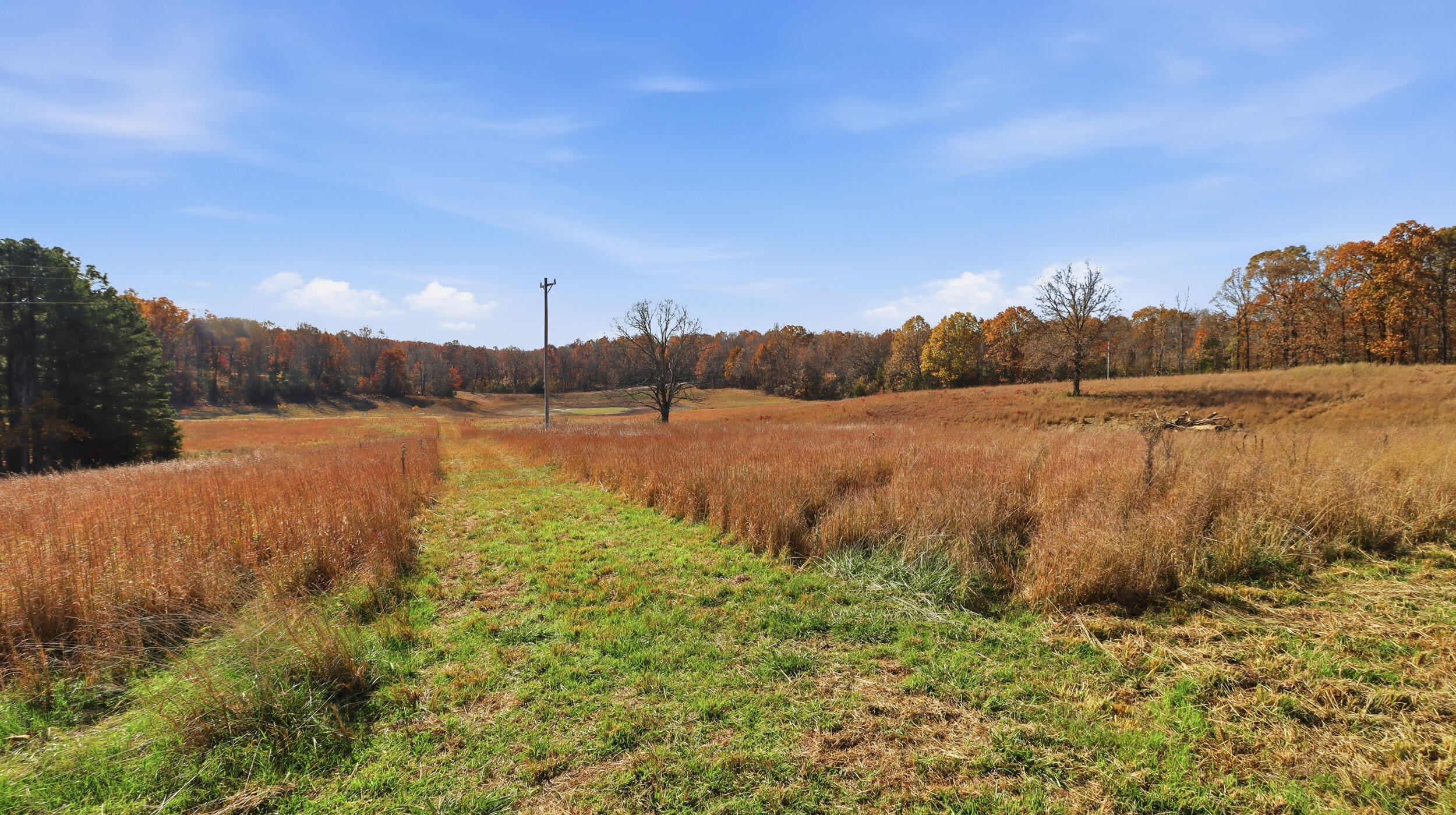 Photo 22 - Land for sale – 170  Ee Highway  Thayer, MO