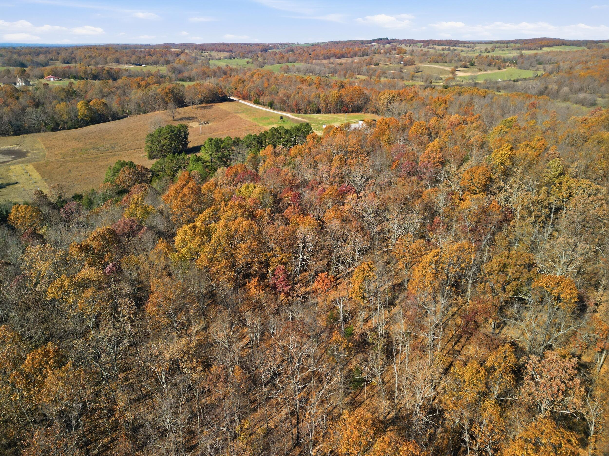 Photo 29 - Land for sale – 170  Ee Highway  Thayer, MO