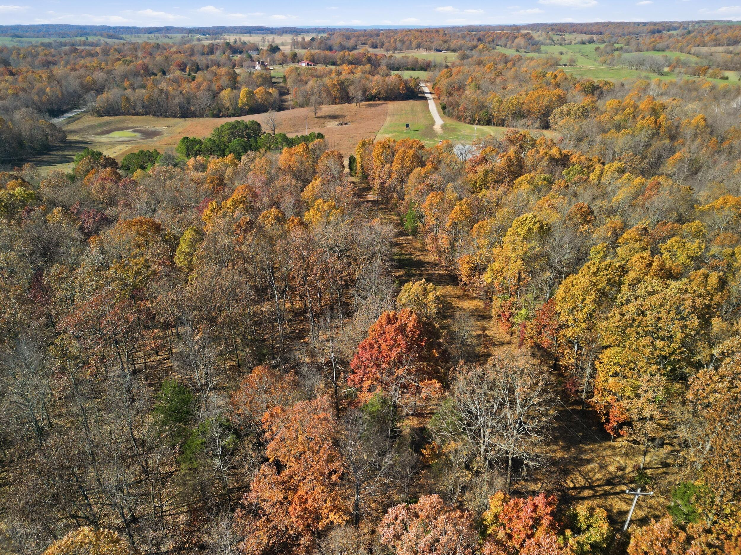 Photo 26 - Land for sale – 170  Ee Highway  Thayer, MO