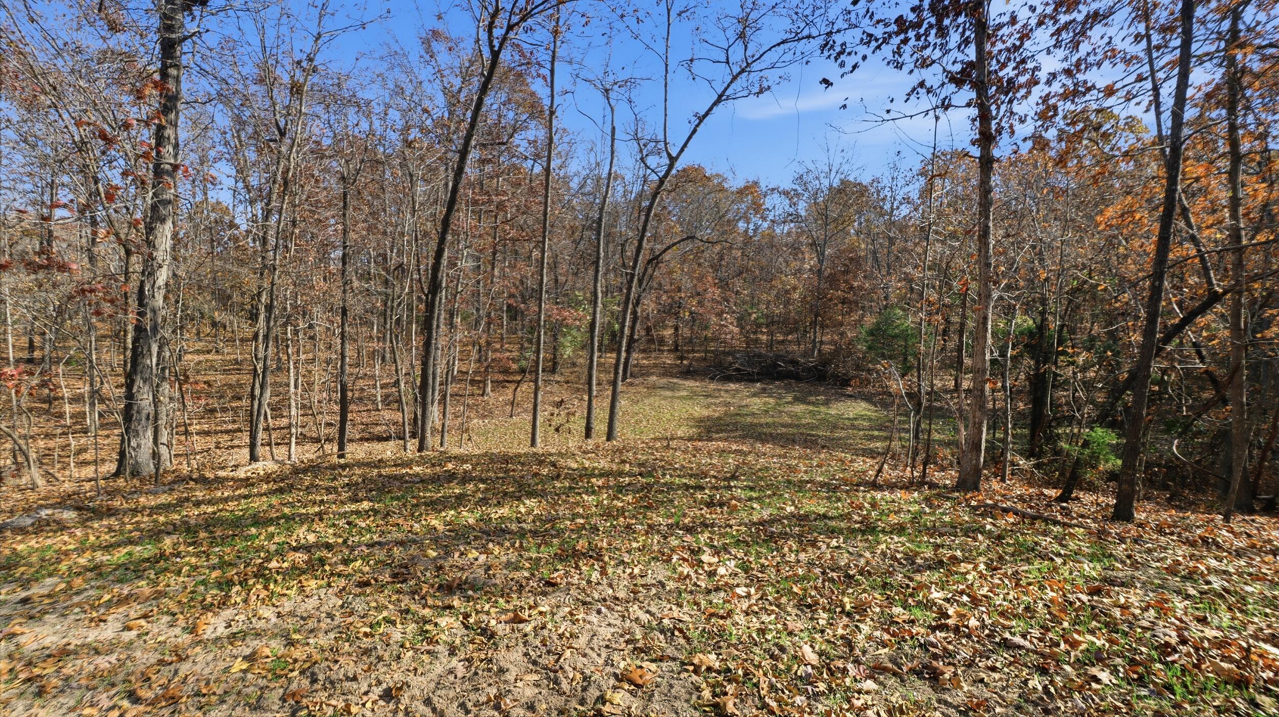 Photo 10 - Land for sale – 170  Ee Highway  Thayer, MO