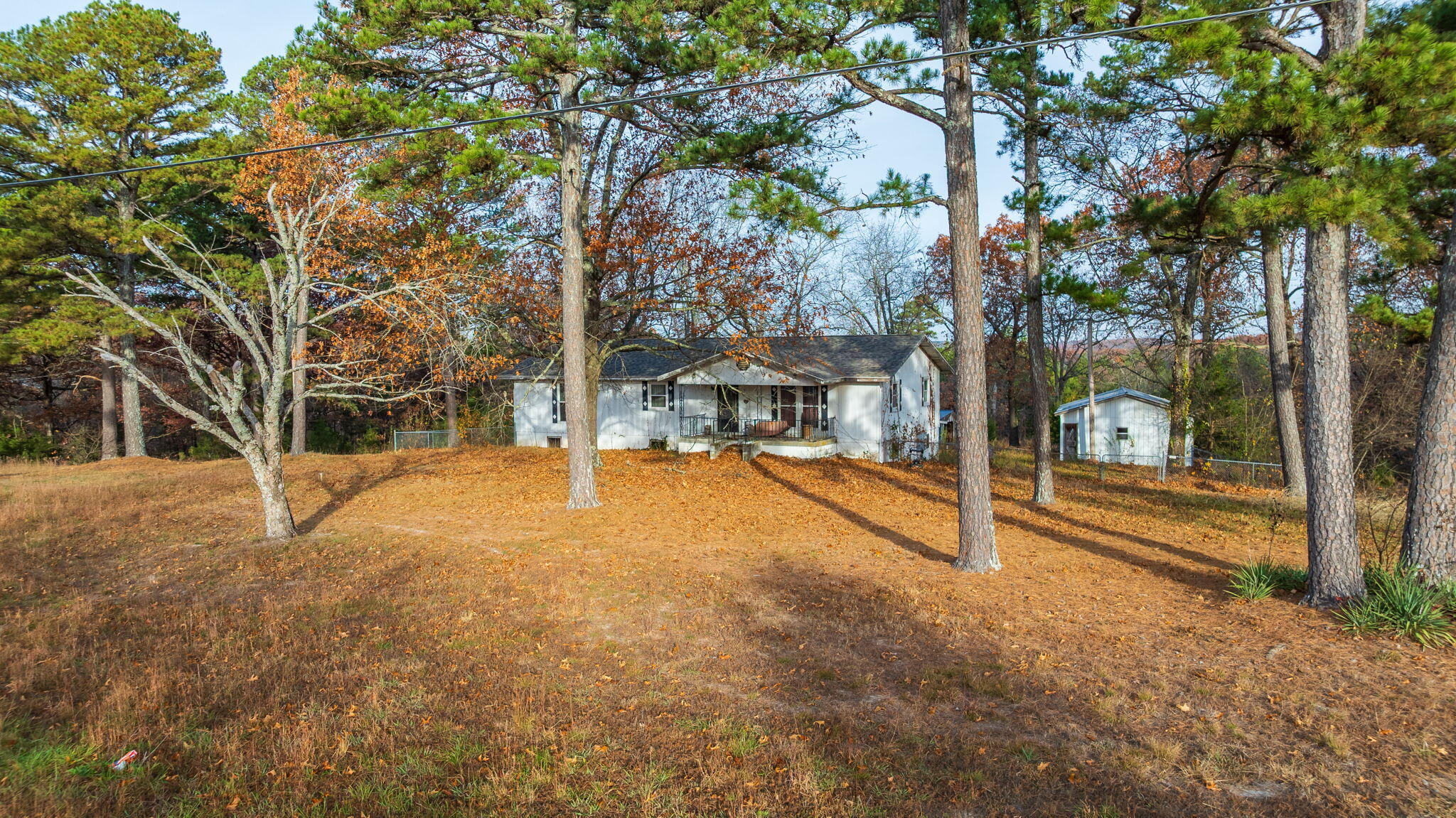 Photo 8 - Land for sale – 4020  Ridgedale Road  Ridgedale, MO