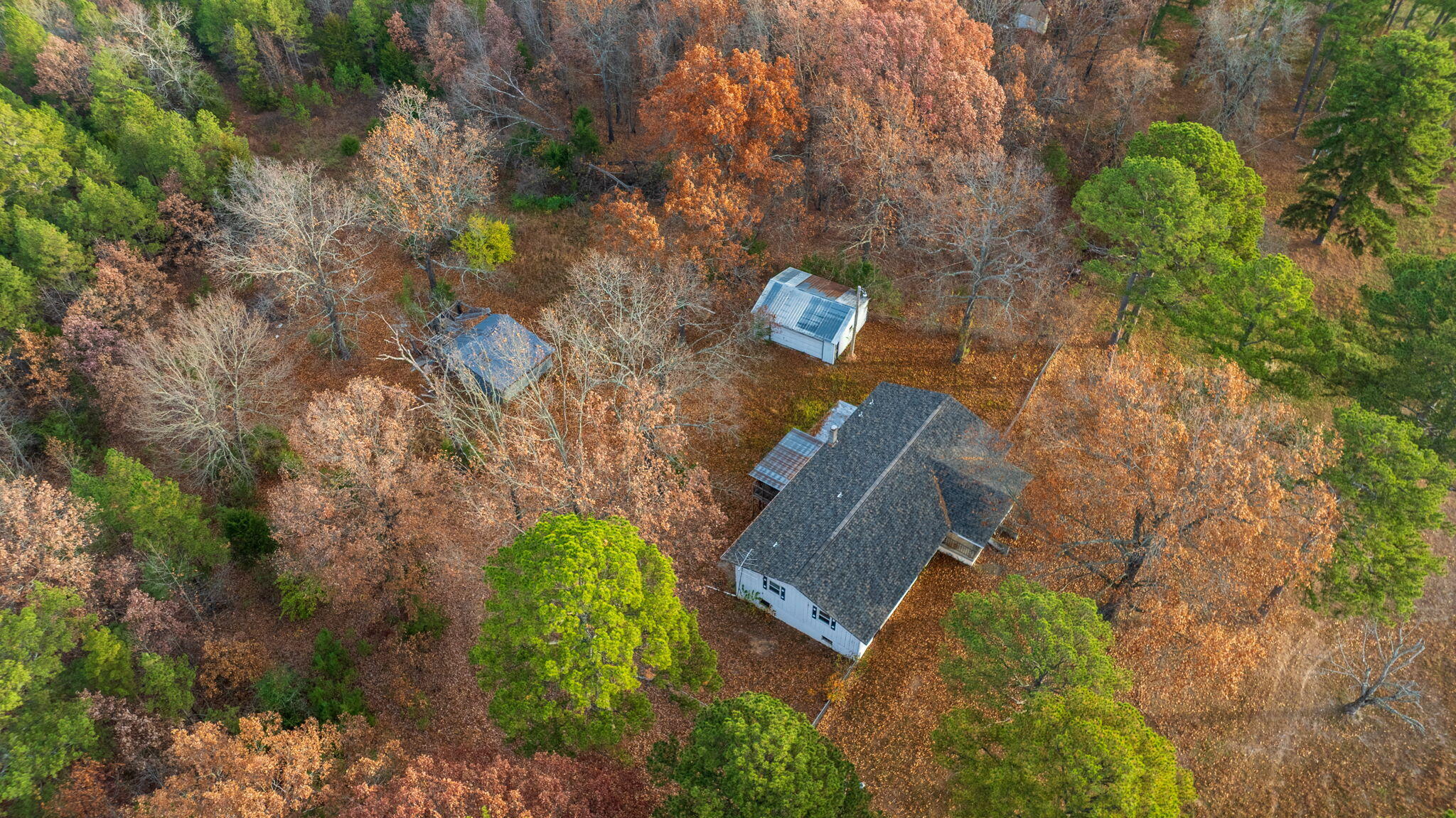 Photo 9 - Land for sale – 4020  Ridgedale Road  Ridgedale, MO