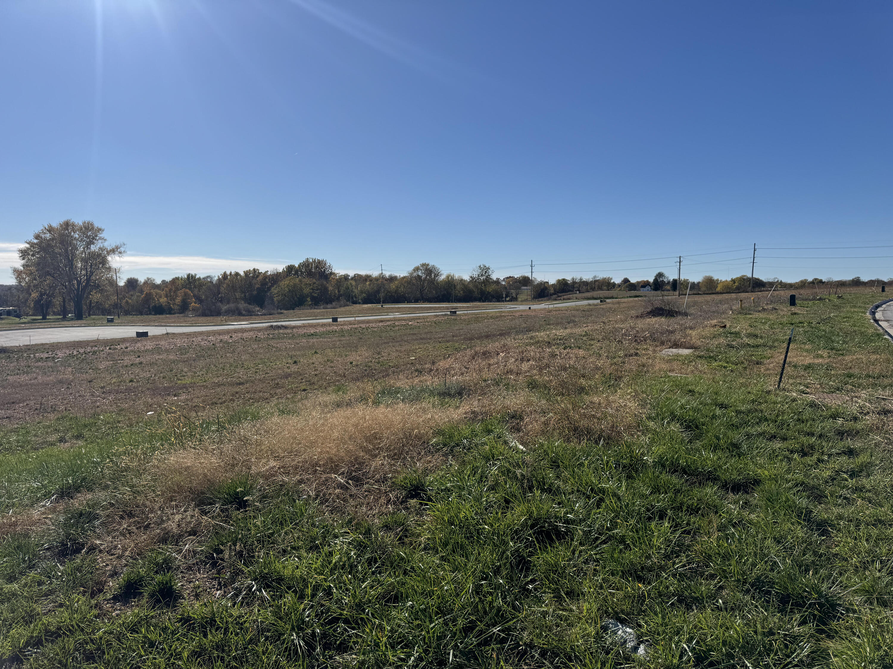 Photo 3 - Land for sale – 1218 E Macon Street  Republic, MO