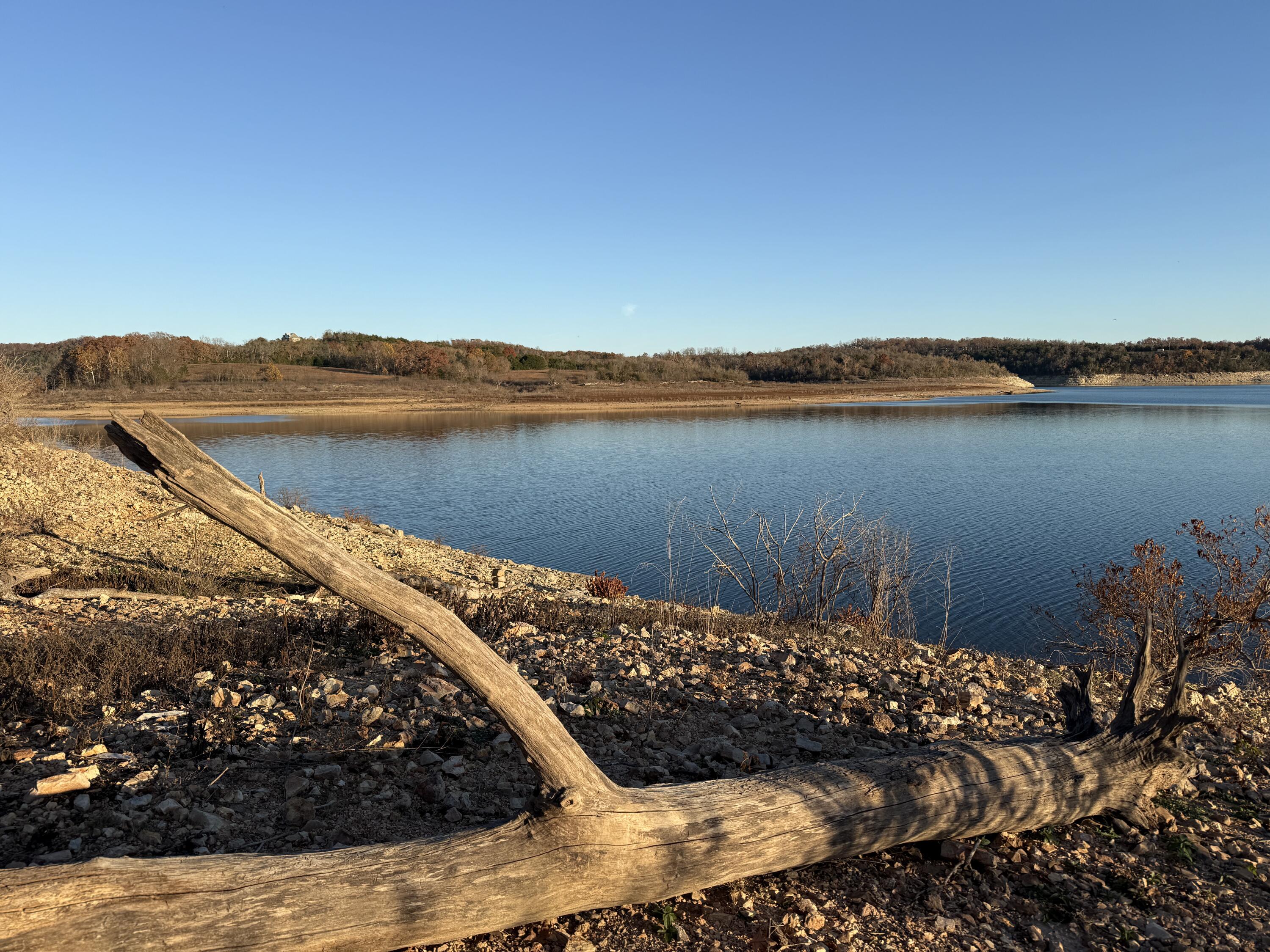 Photo 10 - Land for sale – 000  County Road 871   Thornfield, MO