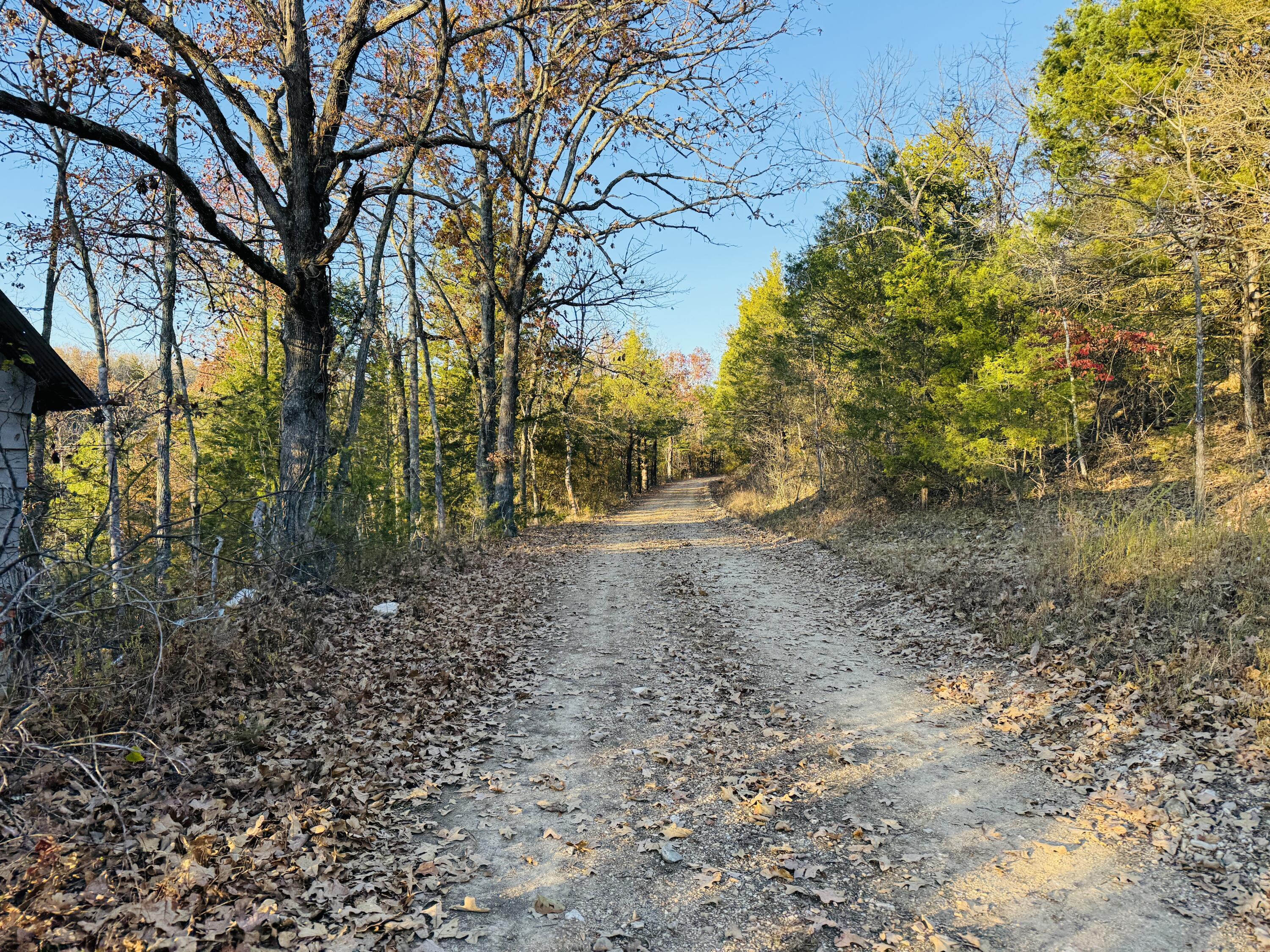 Land for sale – 000 County Road 871 Thornfield, MO