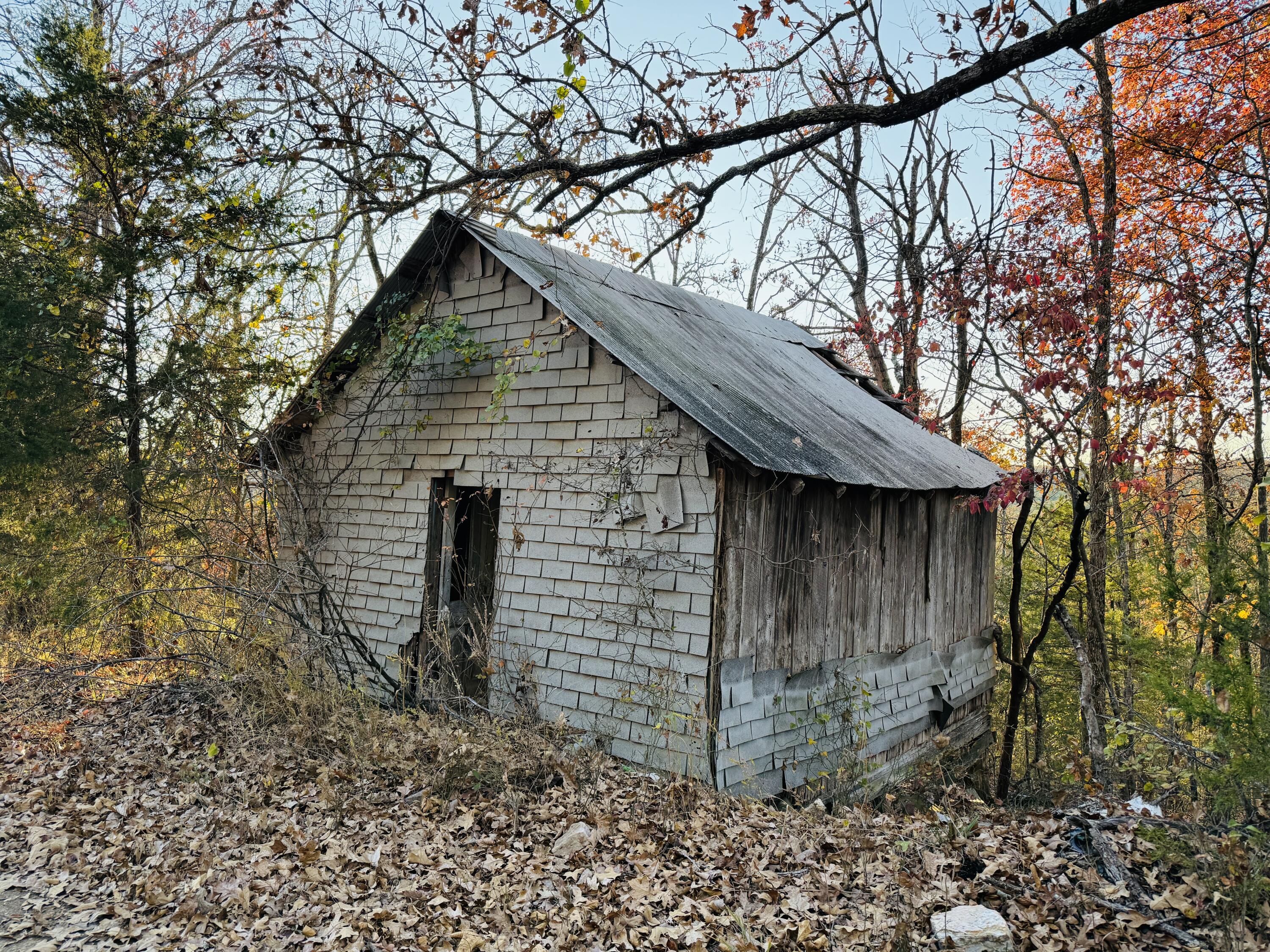 Photo 5 - Land for sale – 000  County Road 871   Thornfield, MO