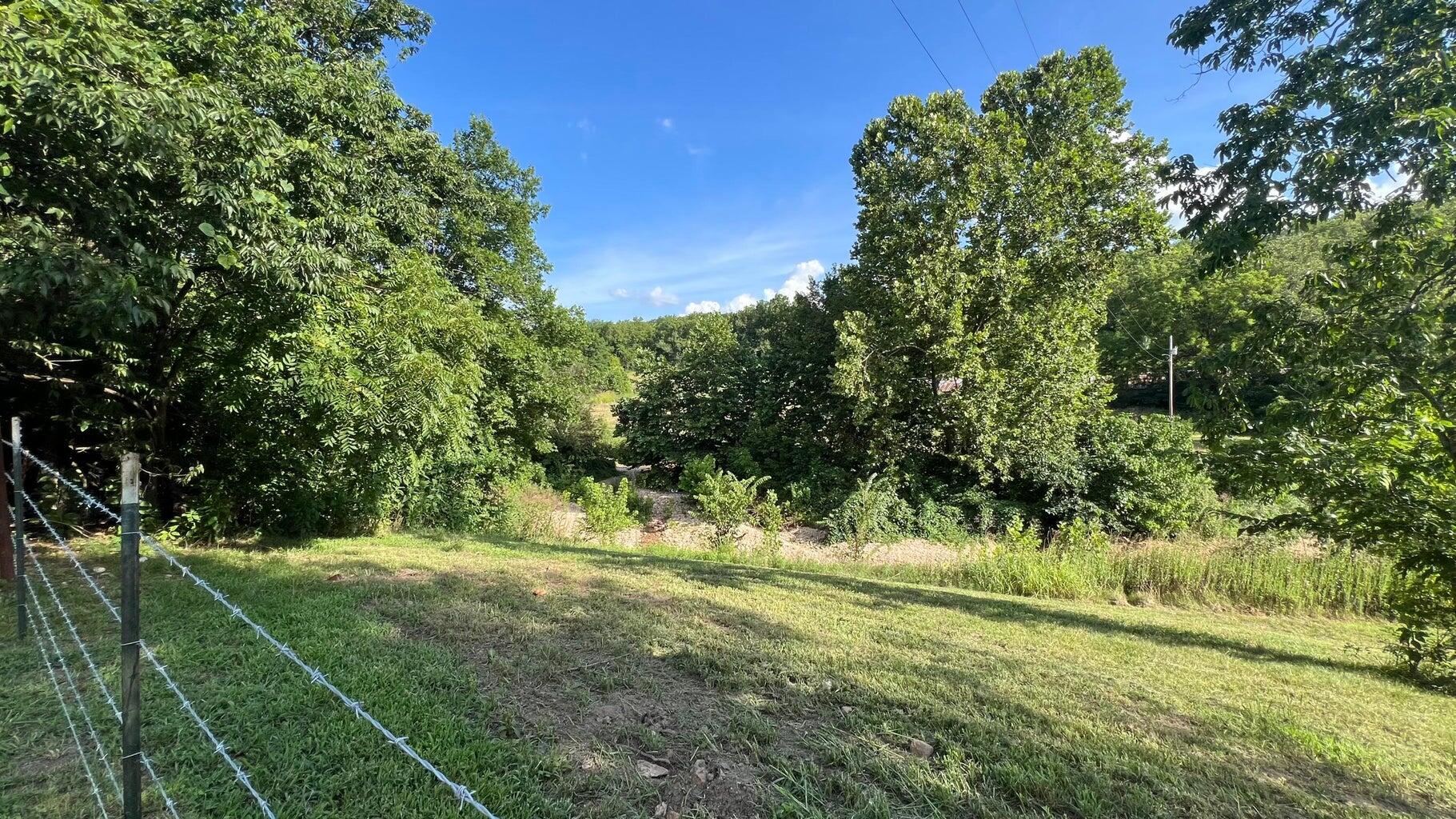 Photo 8 - Land for sale – 1067  Farm Road 2170   Exeter, MO
