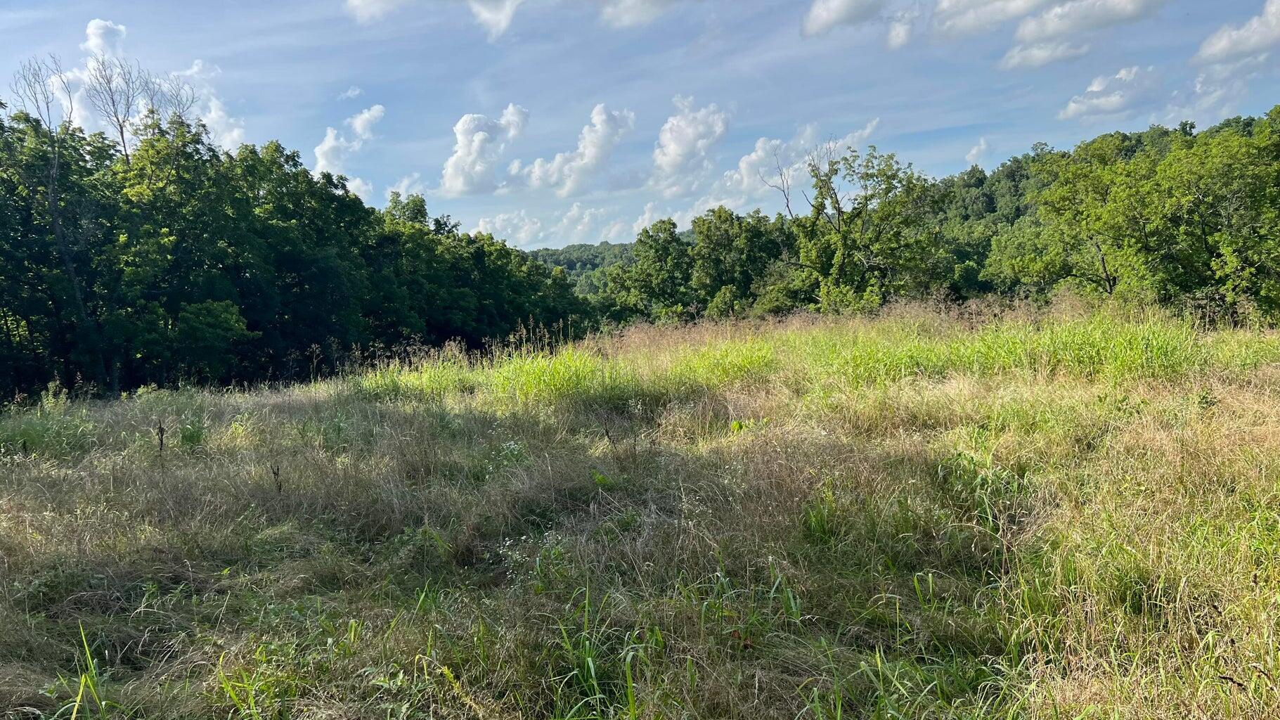 Photo 4 - Land for sale – 1067  Farm Road 2170   Exeter, MO