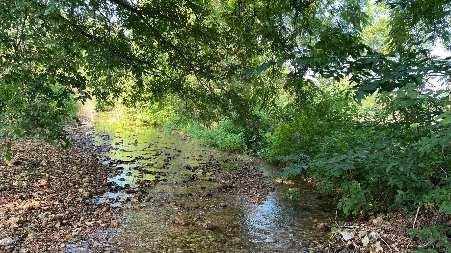 Photo 2 - Land for sale – 1067  Farm Road 2170   Exeter, MO