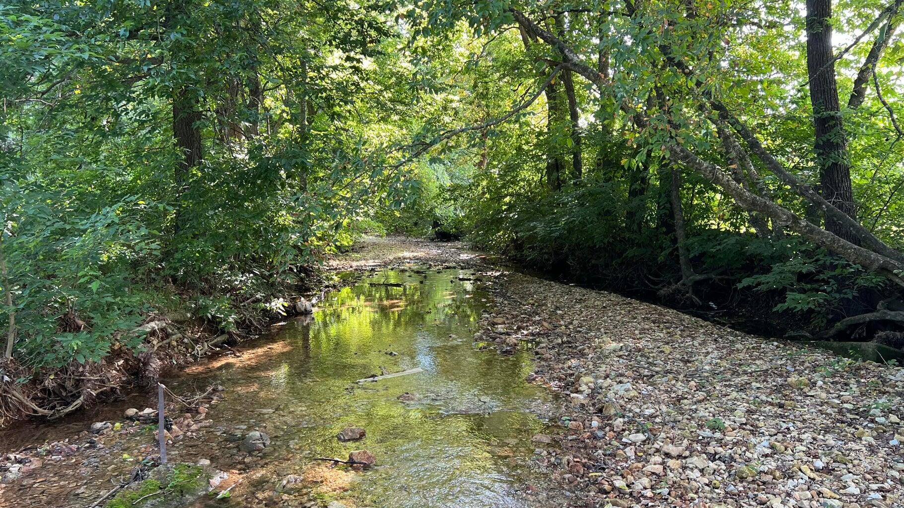 Photo 7 - Land for sale – 1067  Farm Road 2170   Exeter, MO