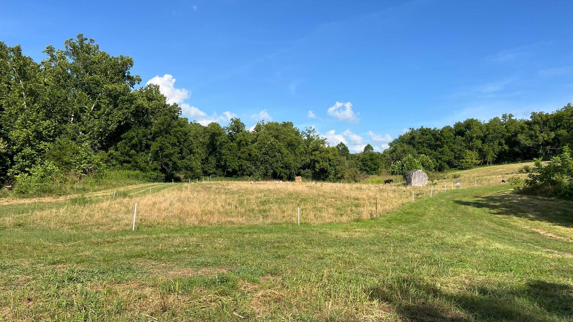 Photo 6 - Land for sale – 1067  Farm Road 2170   Exeter, MO