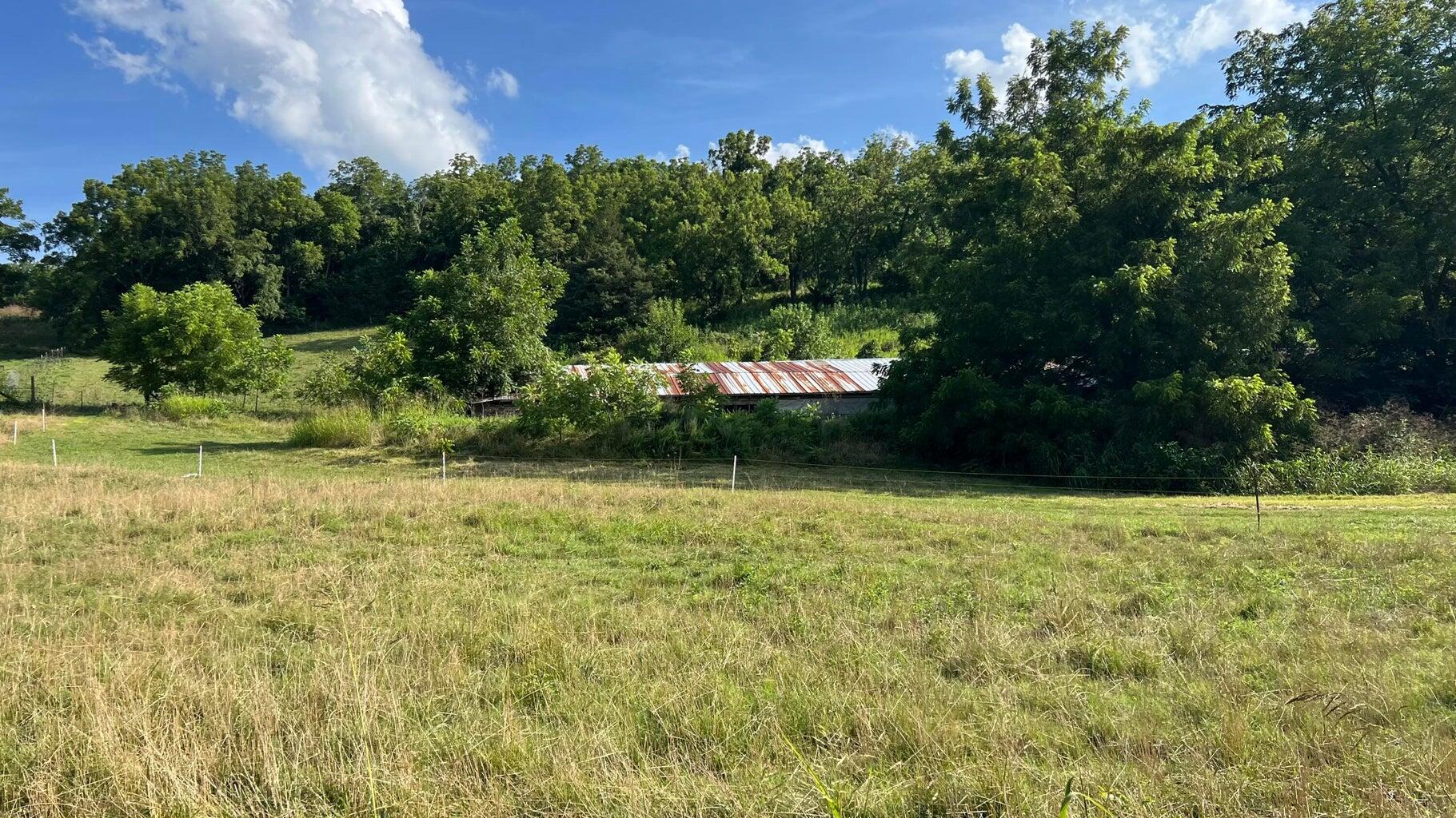 Photo 5 - Land for sale – 1067  Farm Road 2170   Exeter, MO
