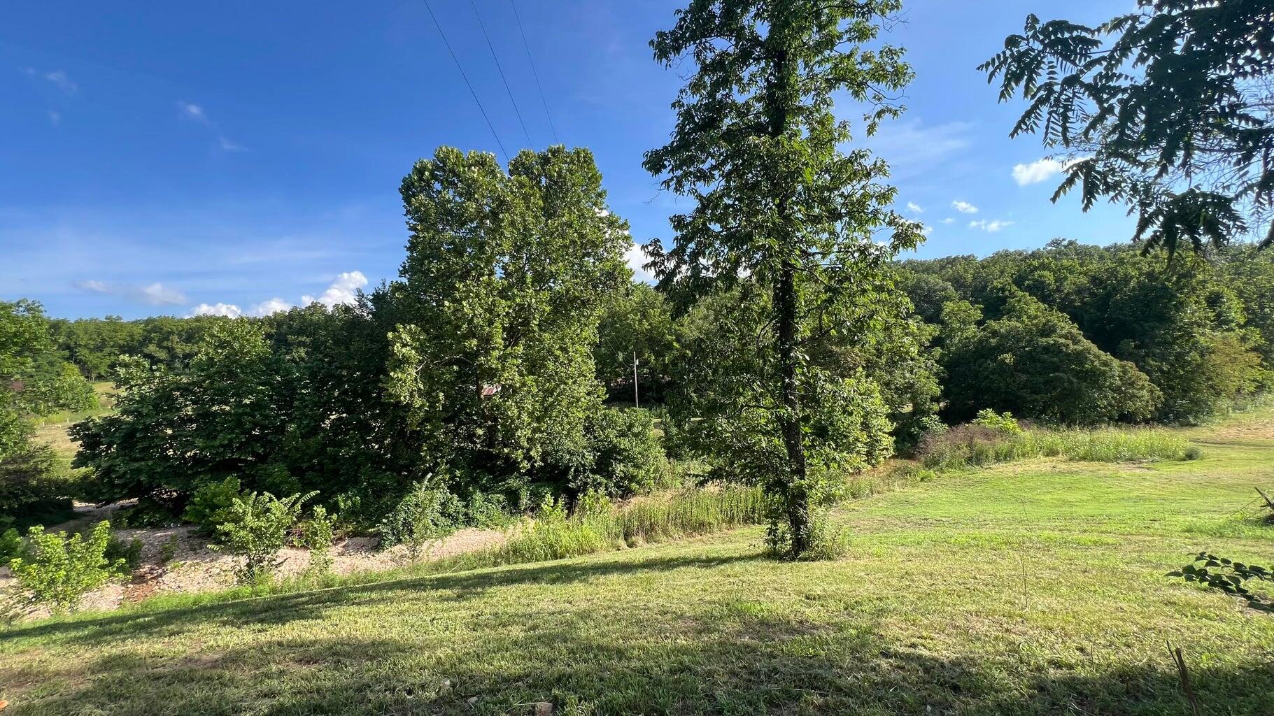Photo 9 - Land for sale – 1067  Farm Road 2170   Exeter, MO