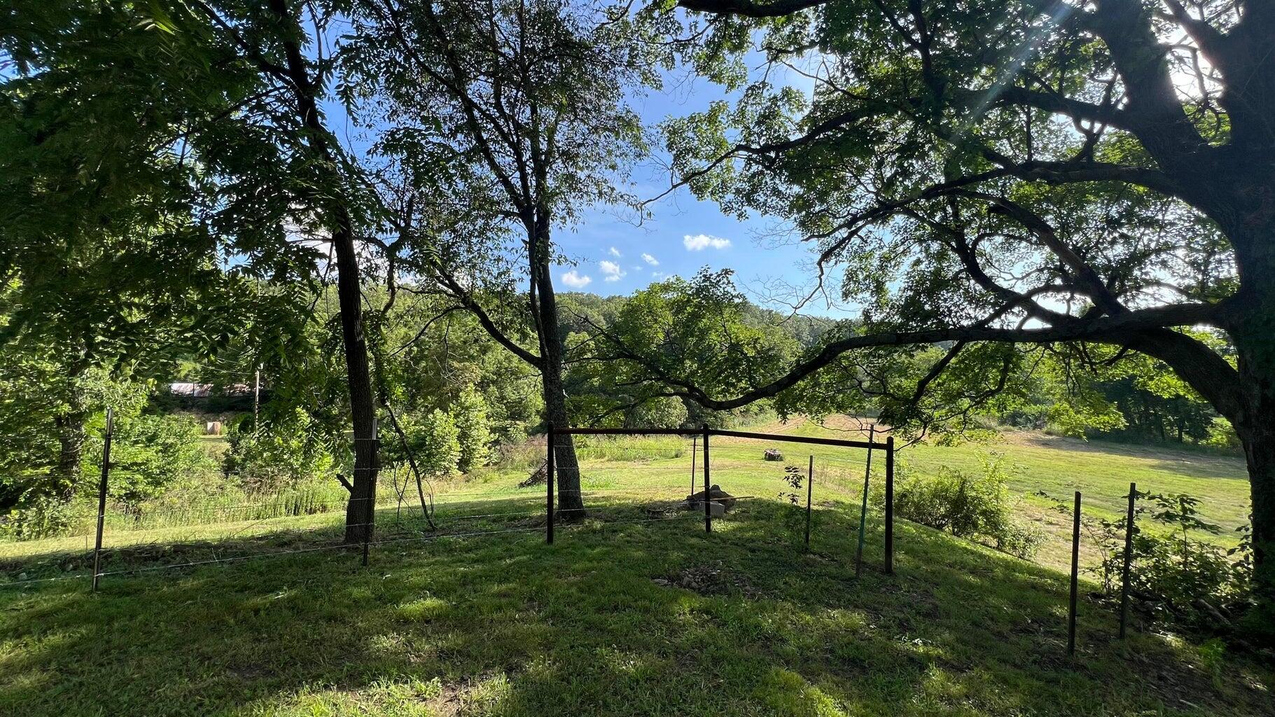 Photo 10 - Land for sale – 1067  Farm Road 2170   Exeter, MO