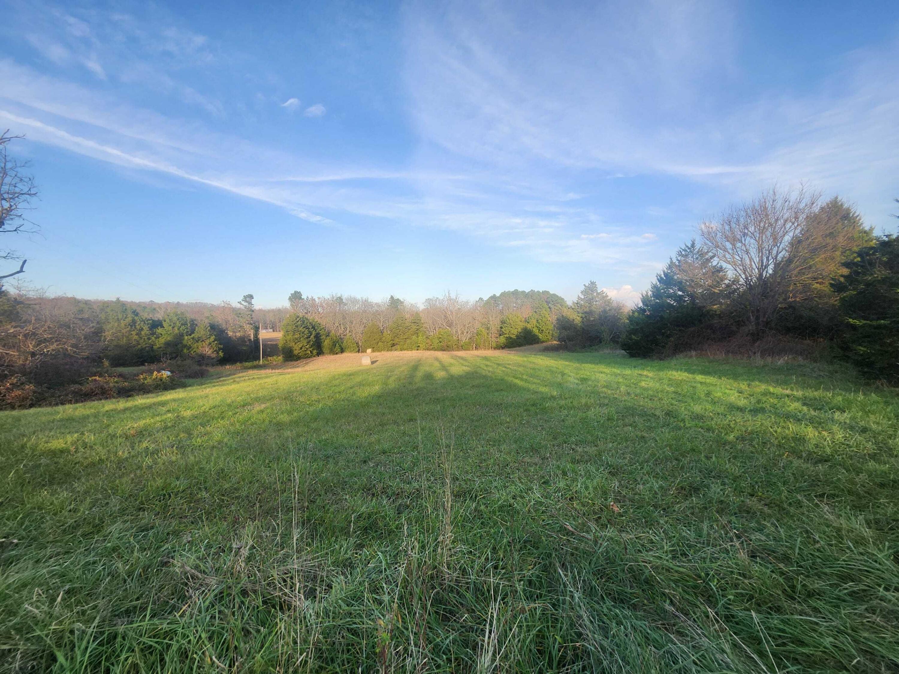 Photo 2 - Farm for sale – 43565  St Highway 181-Pvt Dr-B   Vanzant, MO