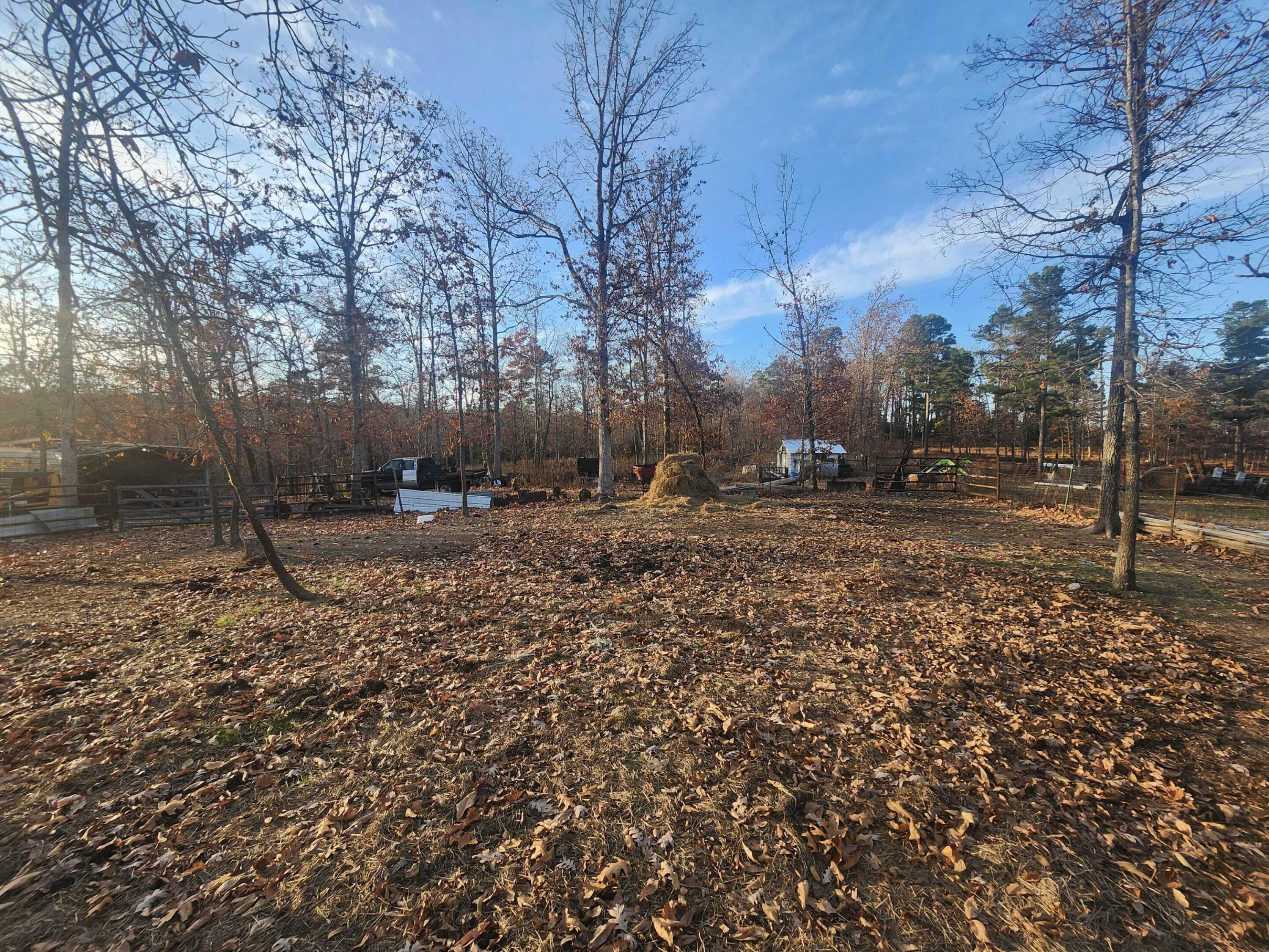 Photo 23 - Farm for sale – 43565  St Highway 181-Pvt Dr-B   Vanzant, MO