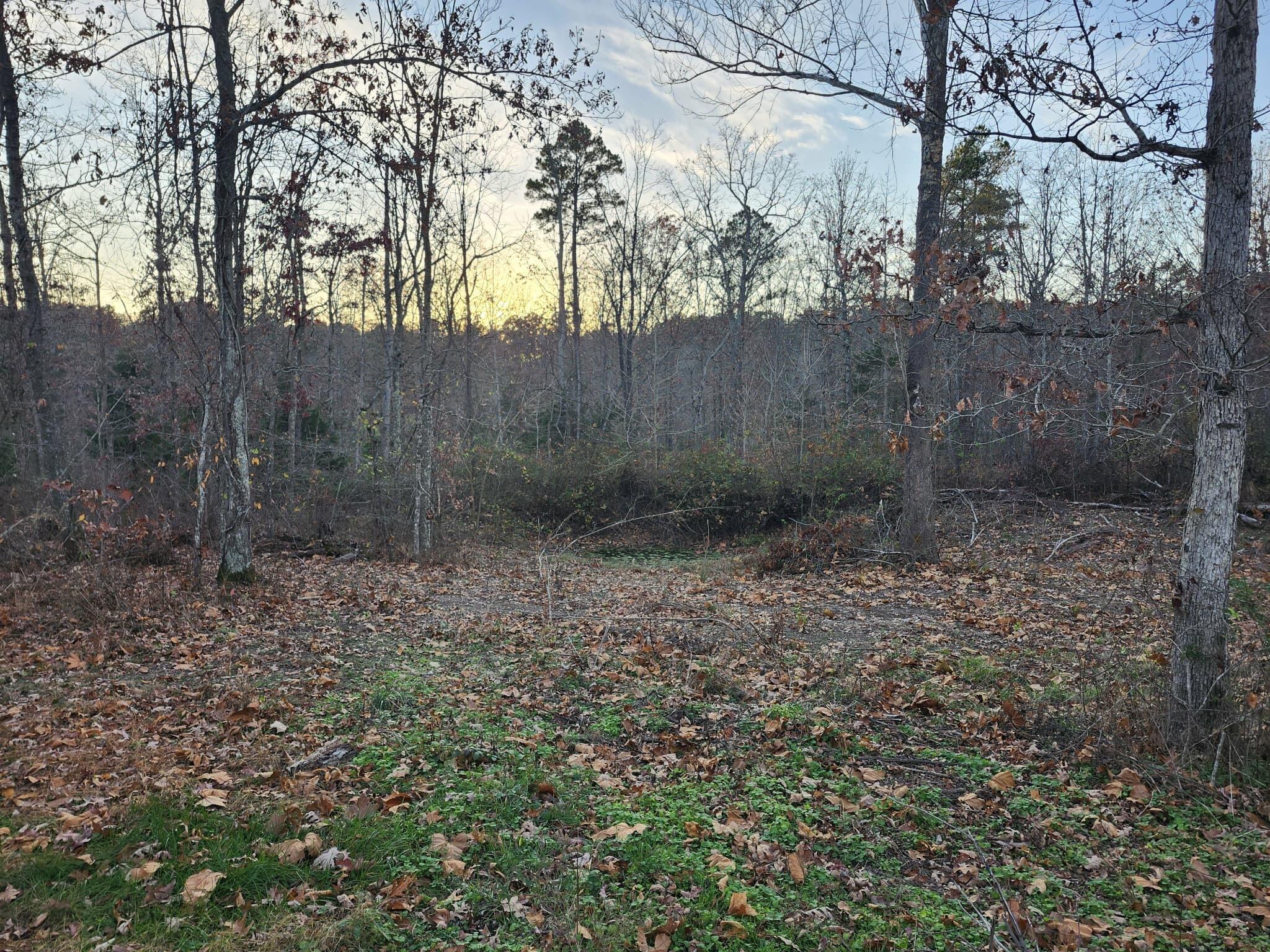 Photo 32 - Farm for sale – 43565  St Highway 181-Pvt Dr-B   Vanzant, MO