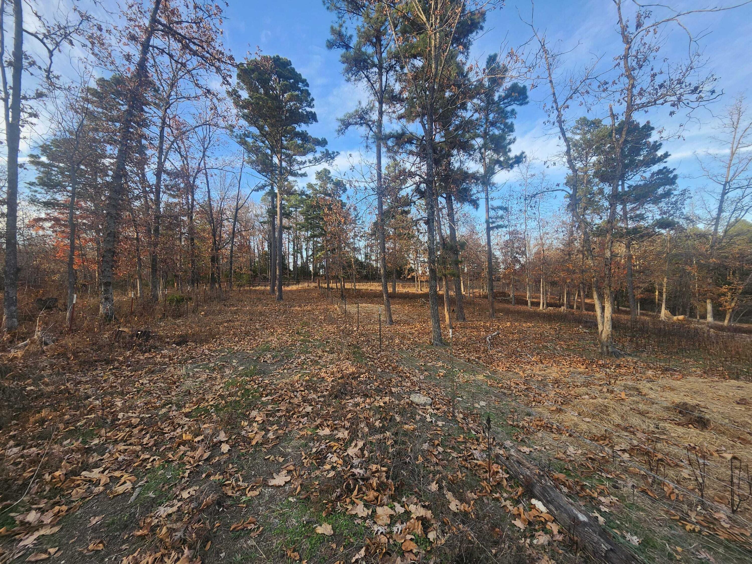 Photo 27 - Farm for sale – 43565  St Highway 181-Pvt Dr-B   Vanzant, MO