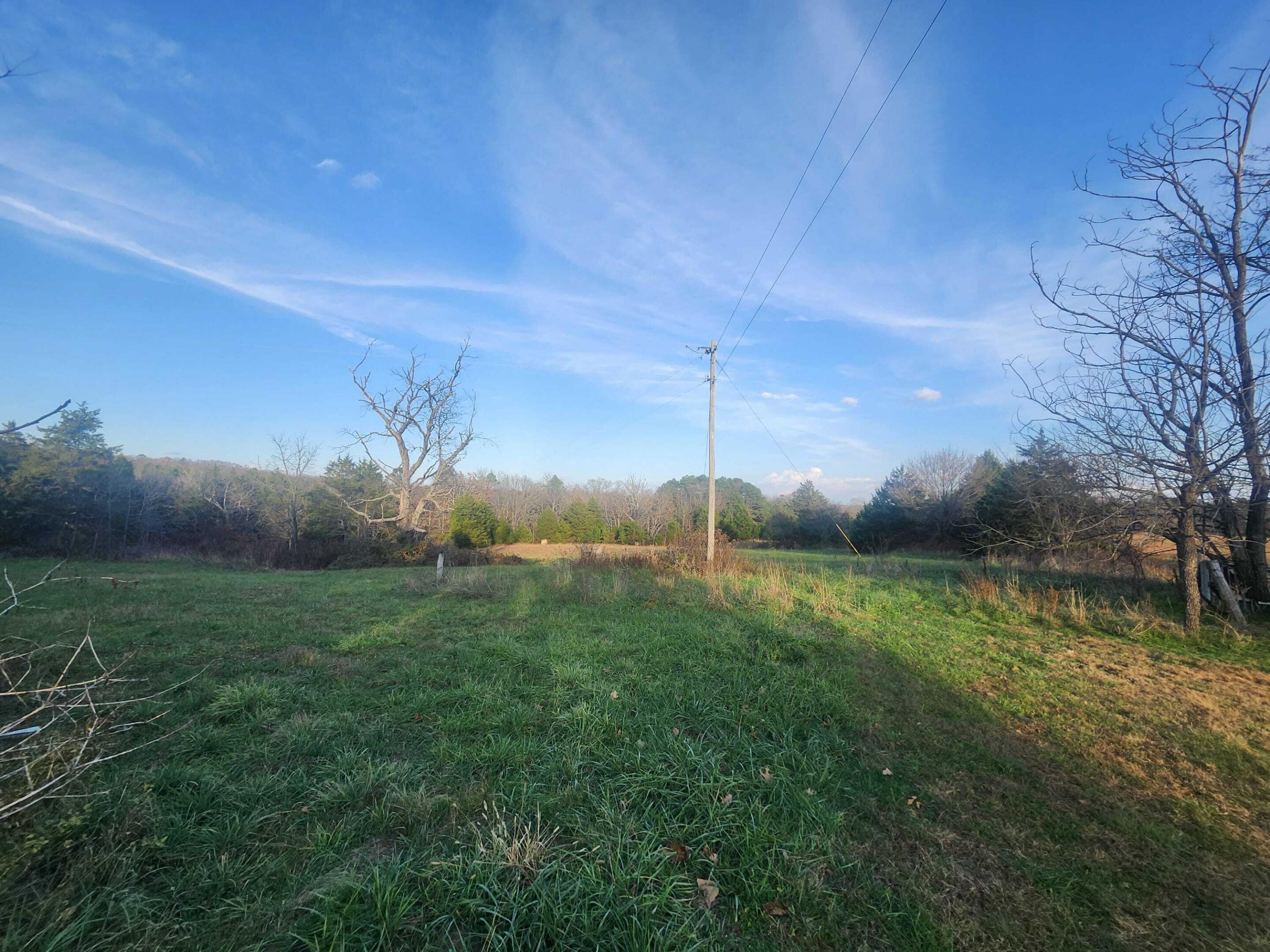 Photo 36 - Farm for sale – 43565  St Highway 181-Pvt Dr-B   Vanzant, MO