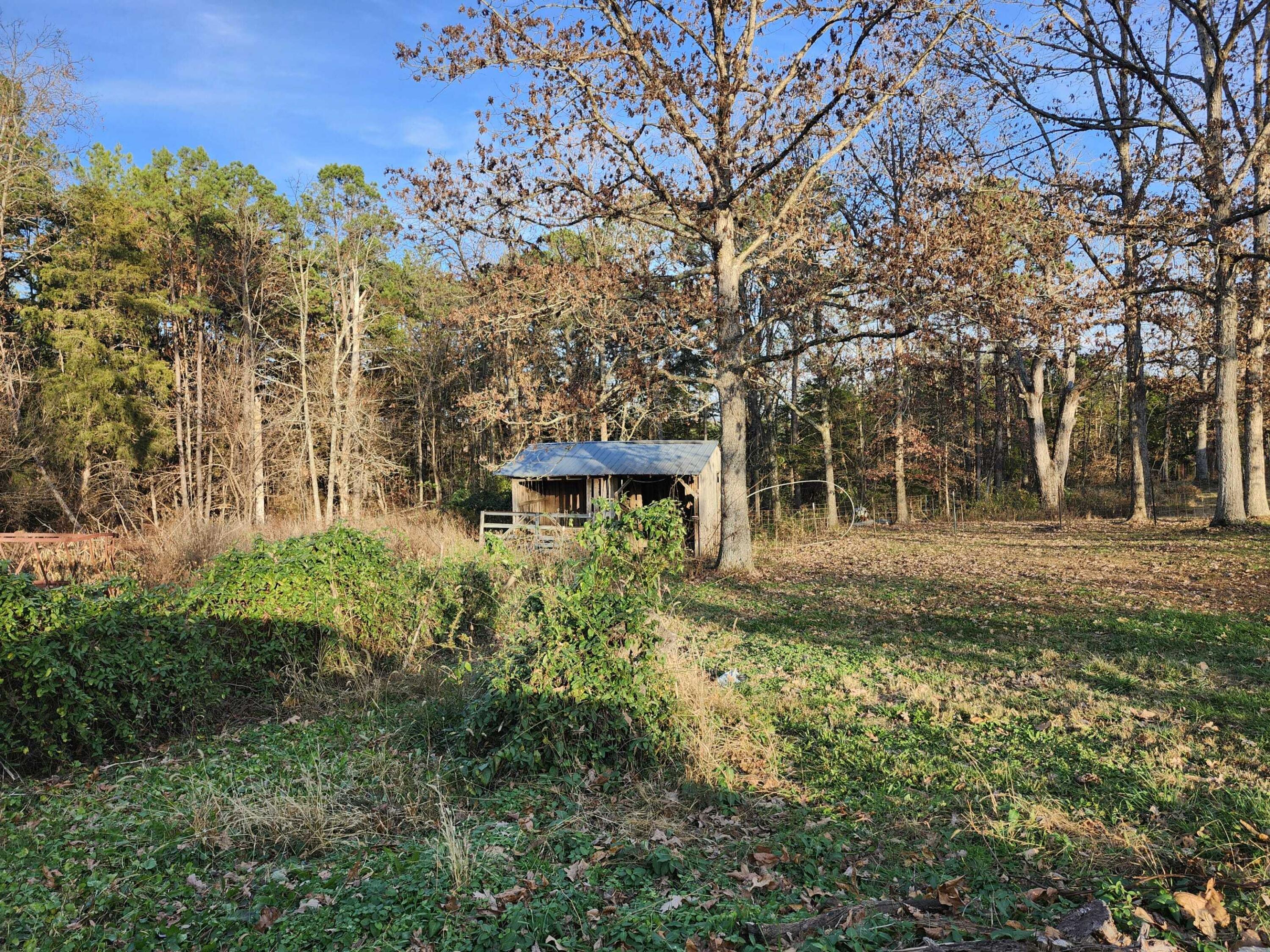 Photo 7 - Farm for sale – 43565  St Highway 181-Pvt Dr-B   Vanzant, MO