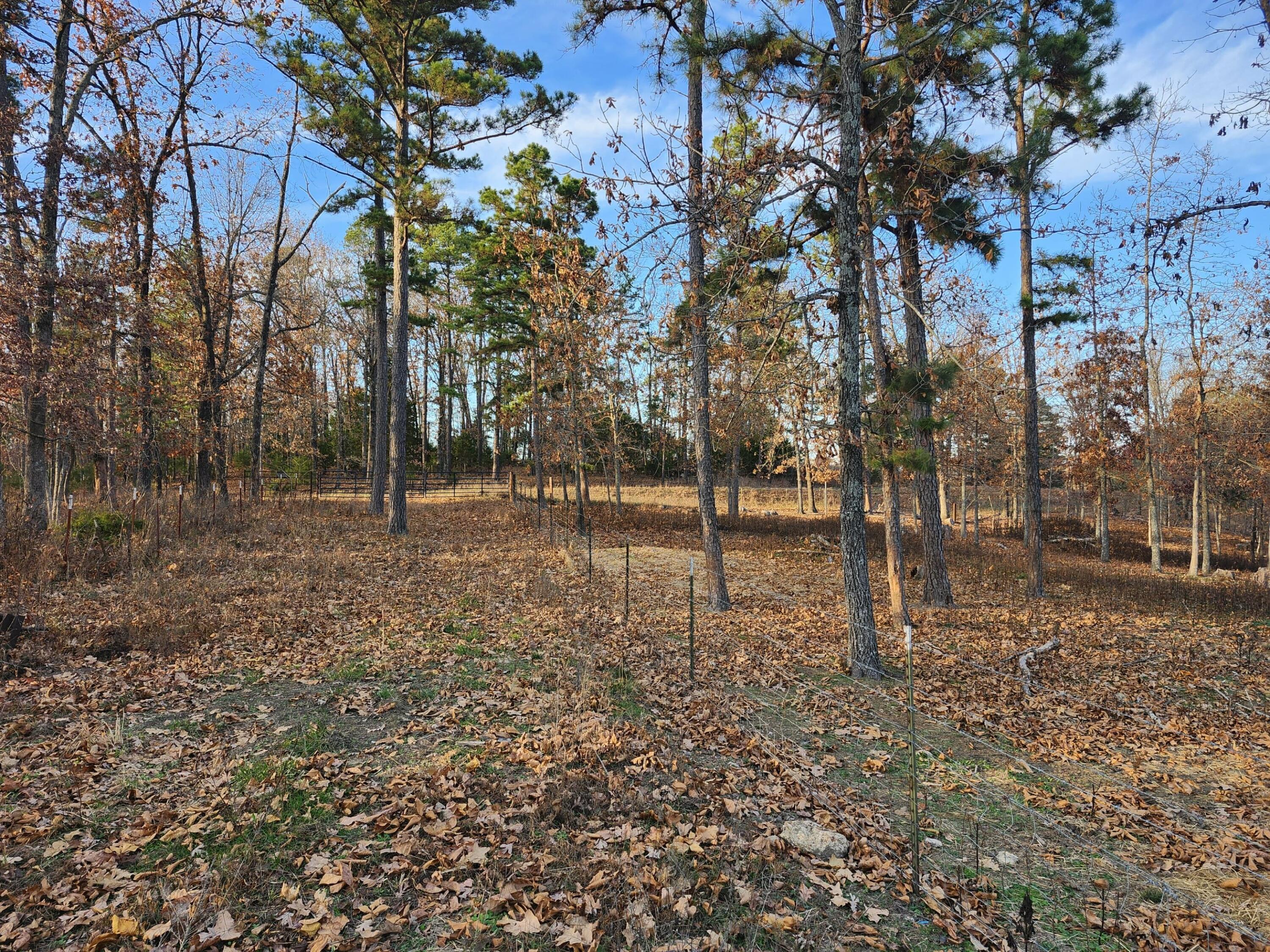 Photo 12 - Farm for sale – 43565  St Highway 181-Pvt Dr-B   Vanzant, MO