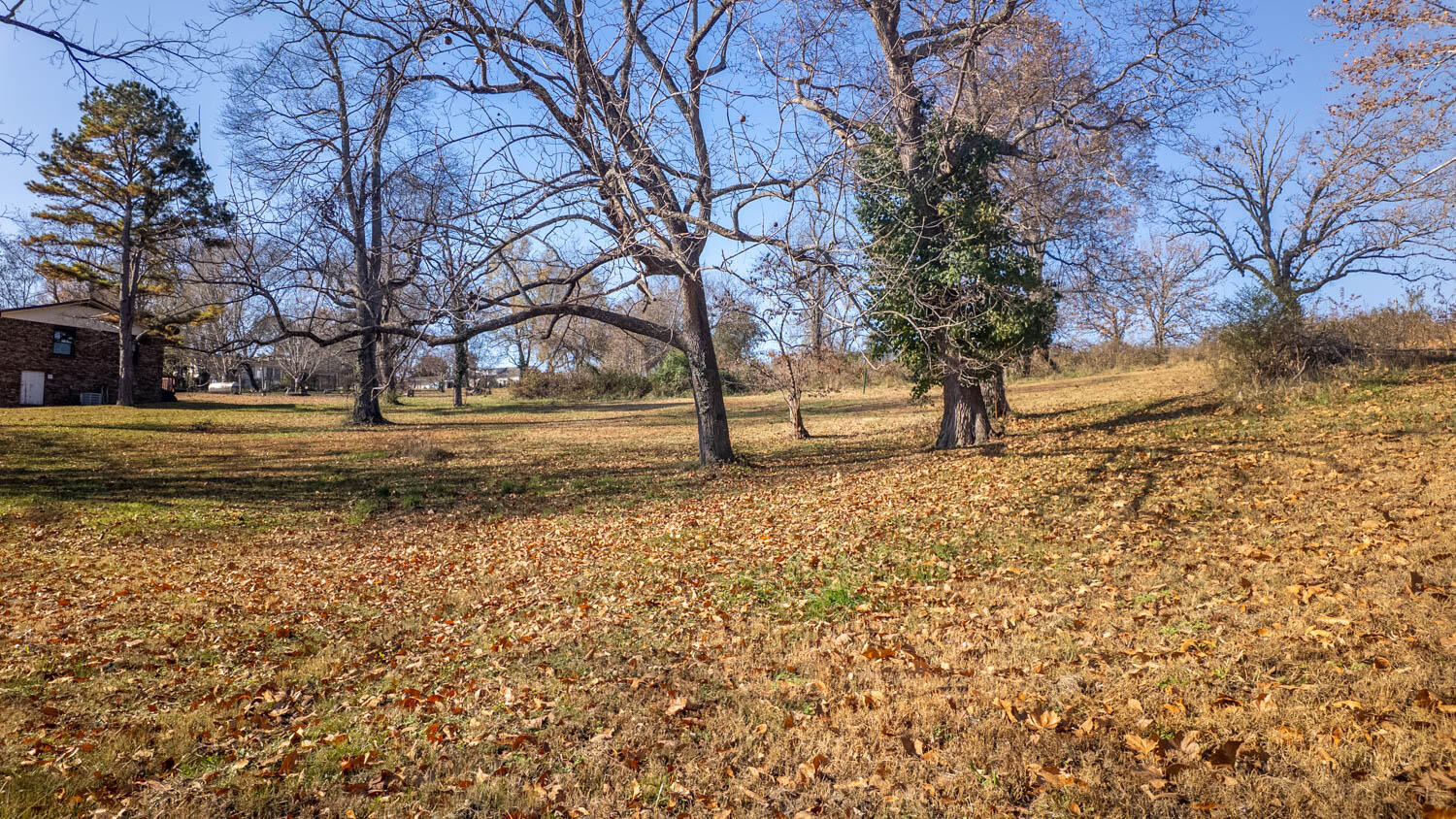 Photo 8 - Land for sale – 000 N 9th Street   Thayer, MO