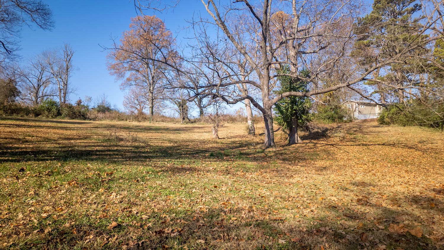Photo 9 - Land for sale – 000 N 9th Street   Thayer, MO