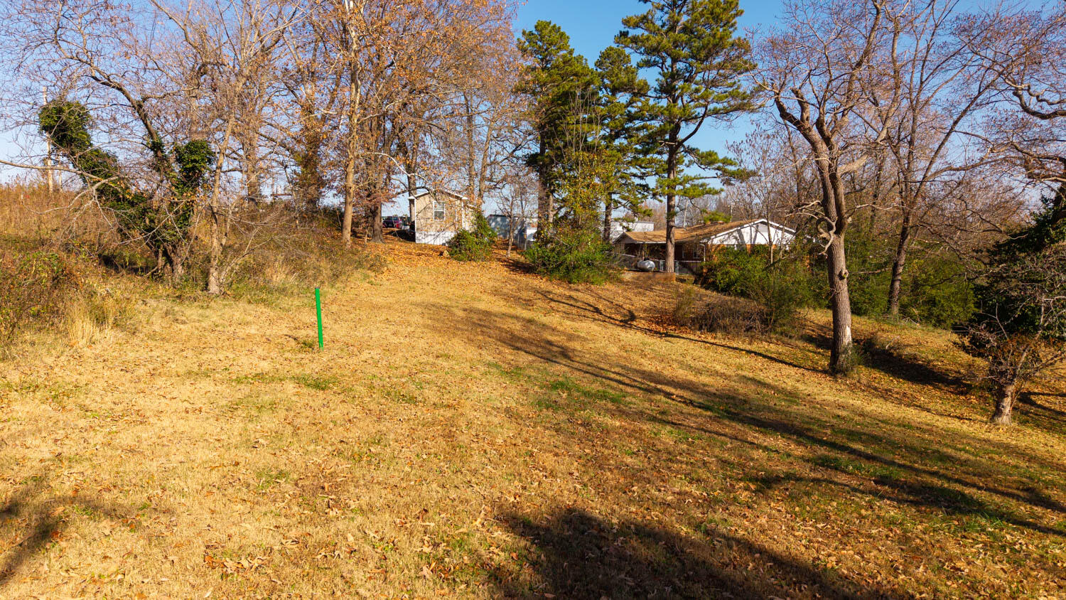Photo 6 - Land for sale – 000 N 9th Street   Thayer, MO