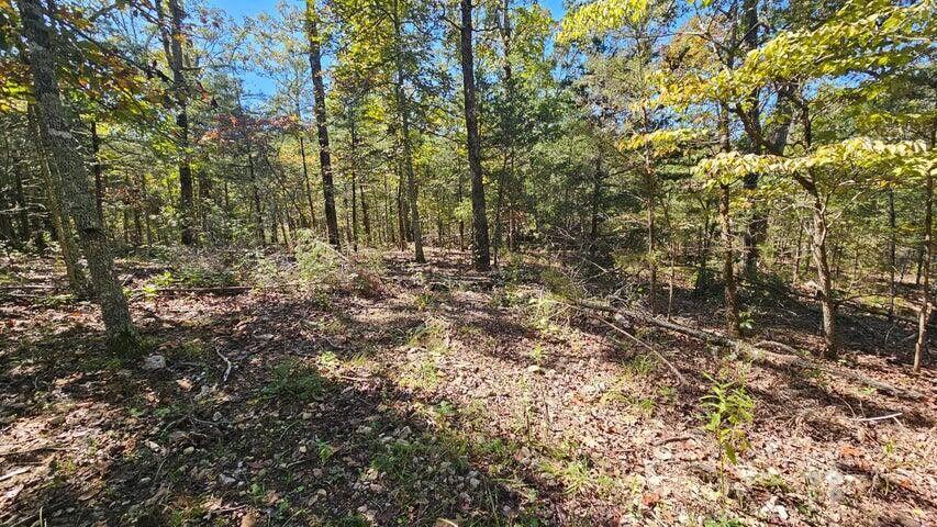 Photo 3 - Land for sale – 000  Rolling Hills Block 11 Lot 22   Theodosia, MO