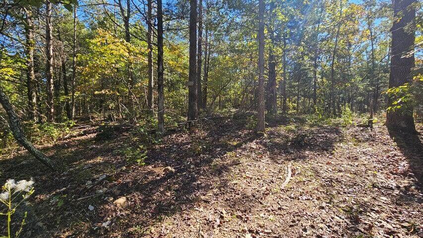 Land for sale – 000  Rolling Hills Block 11 Lot 22   Theodosia, MO