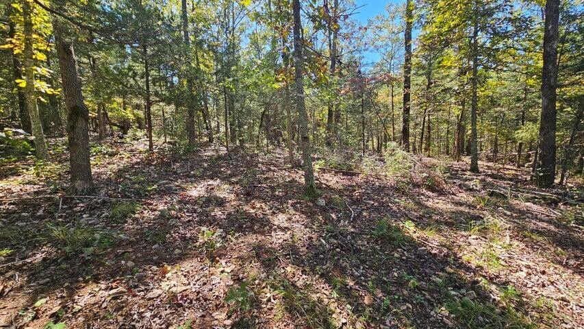 Photo 4 - Land for sale – 000  Rolling Hills Block 11 Lot 22   Theodosia, MO