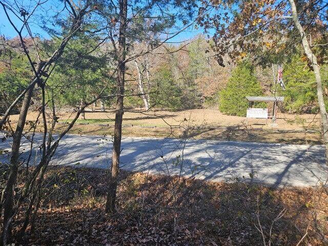 Photo 4 - Land for sale – 000  Eastwood Hills Block 6 Lot 2   Theodosia, MO