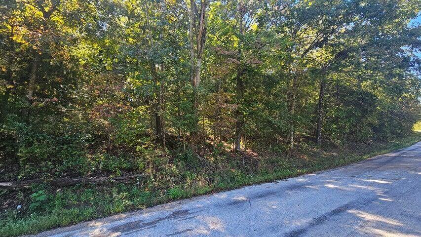 Land for sale – 000  Eastwood Hills Block 6 Lot 2   Theodosia, MO