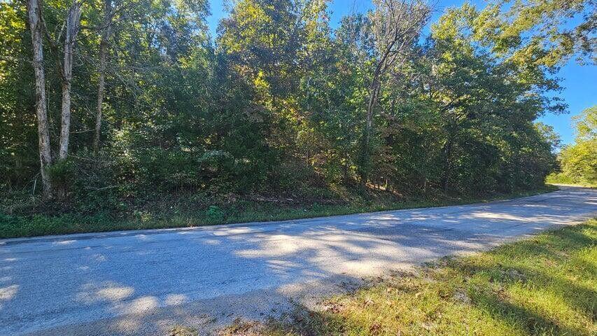 Photo 3 - Land for sale – 000  Eastwood Hills Block 6 Lot 2   Theodosia, MO