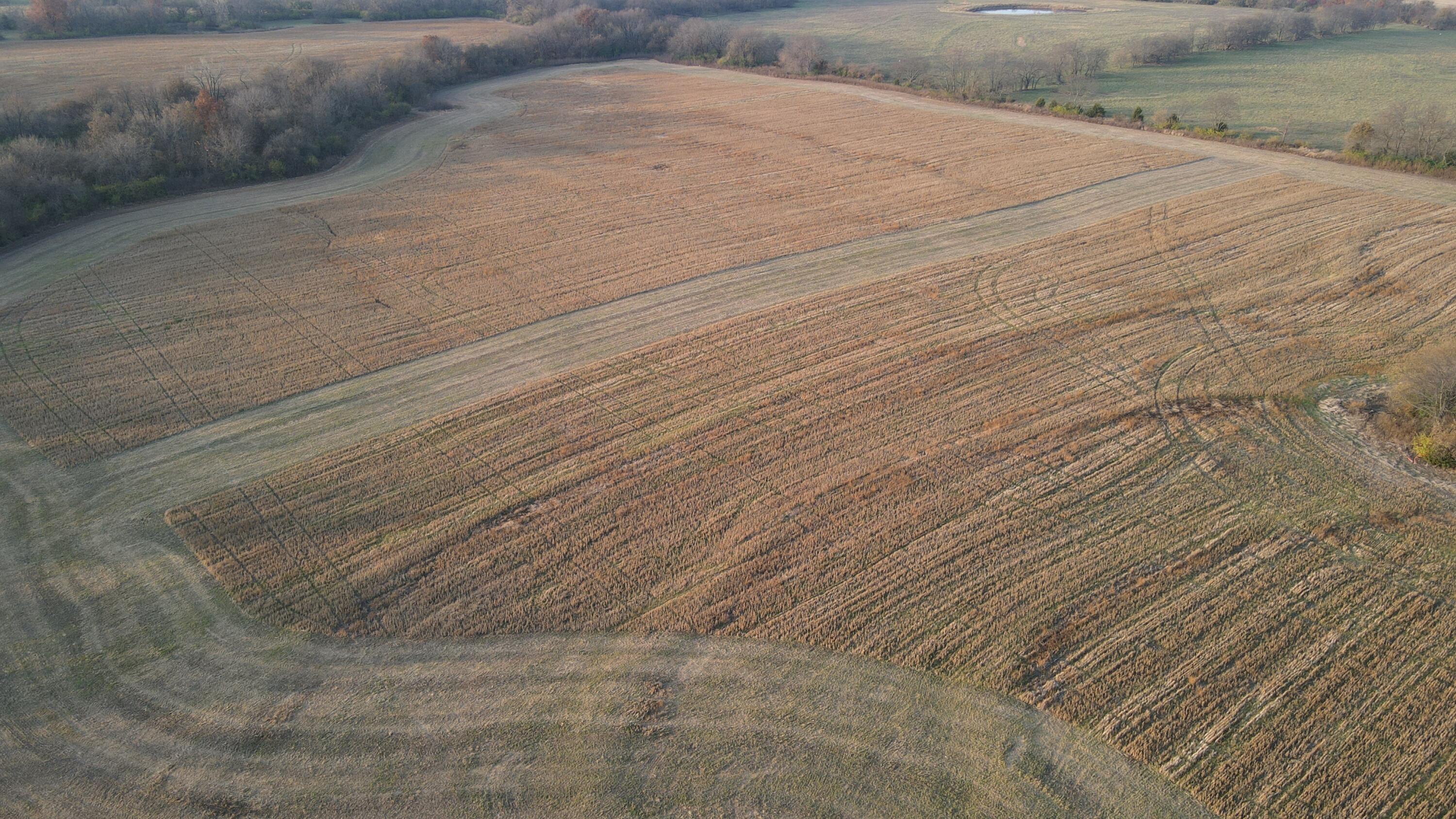 Photo 14 - Land for sale – 710 SE State Hwy Pp   Leeton, MO